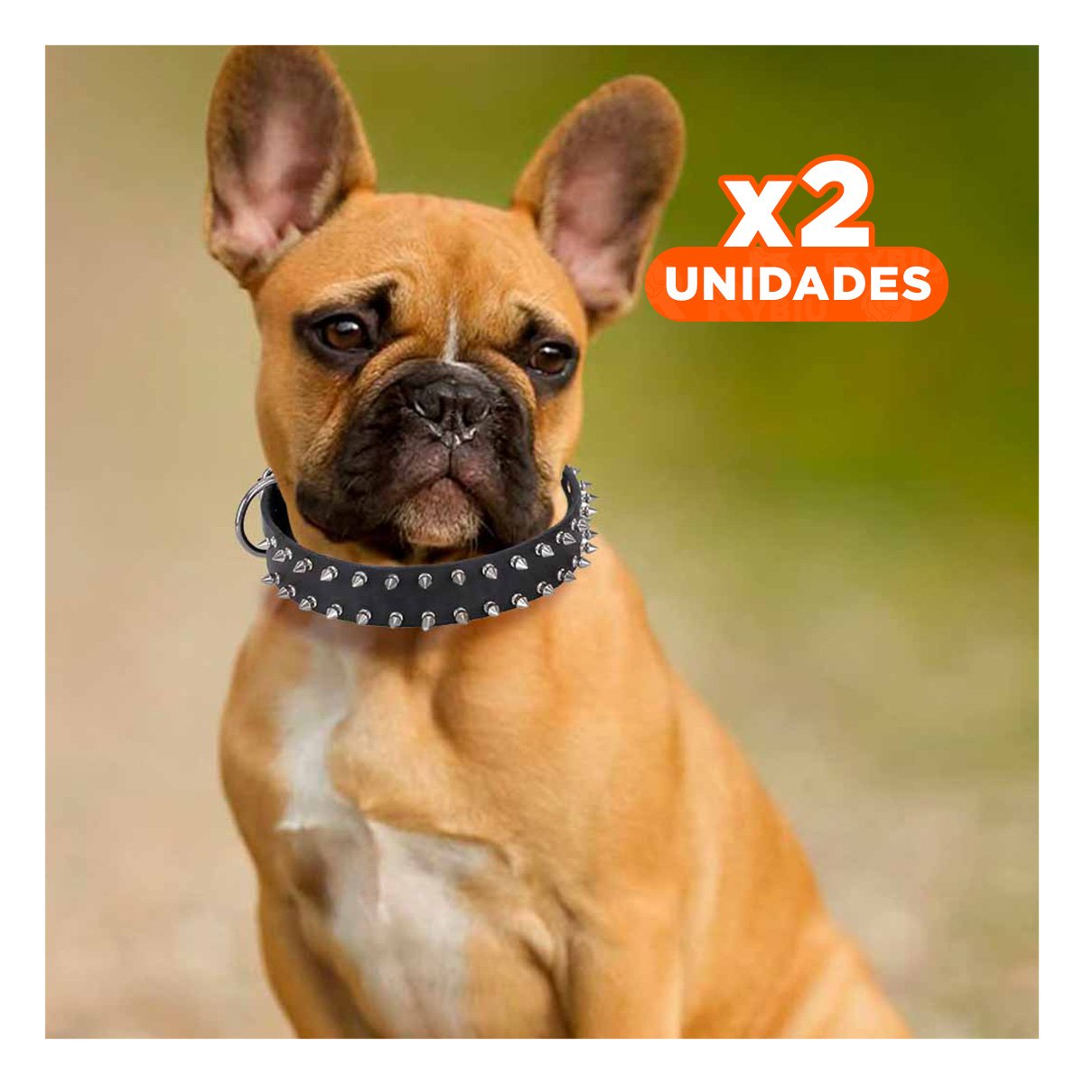 PACK2 COLLARIN NEGRO AJUSTABLE CON PUAS TALLA L COMODO Y ELEGANTE EN HOGAR Y+REGALO STICKER - 1