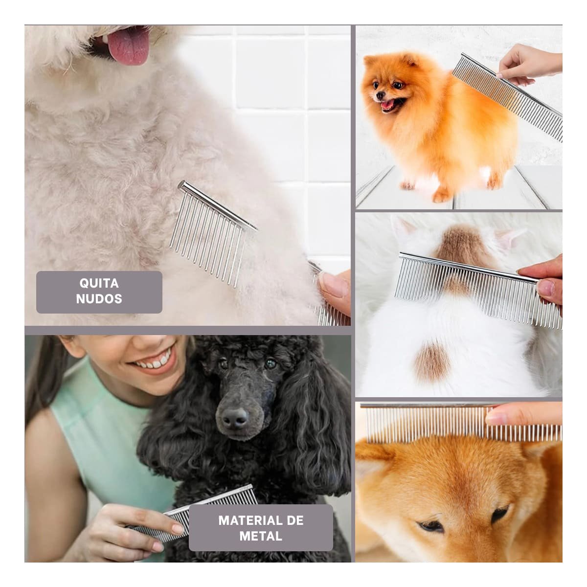 PACK4 ACCESORIO PROFESIONAL PARA CUIDADO DE MASCOTA PLATEADO Y+REGALO STICKER - 2