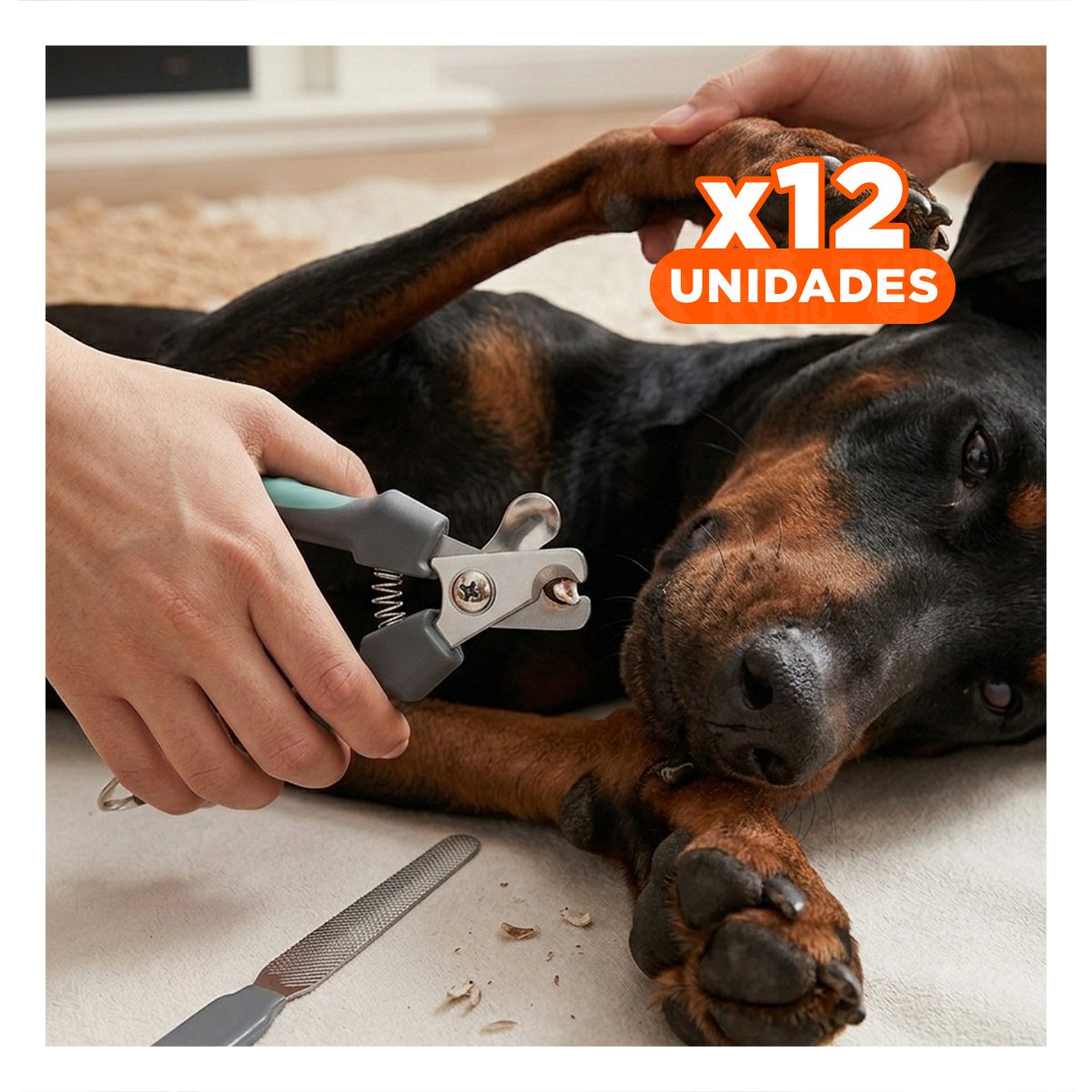 PACK12 ACCESORIO PROFESIONAL VERDE CON LIMA MASCOTA GRANDE - 1