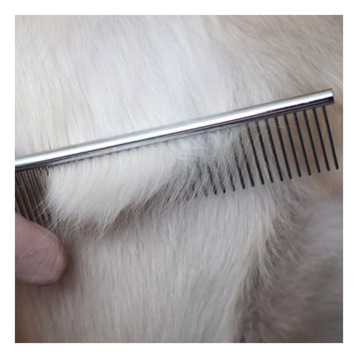 PACK4 ACCESORIO DE ACERO PARA DESENREDAR PELO DE MASCOTA PLATEADO Y+PAPEL REGALO - 5