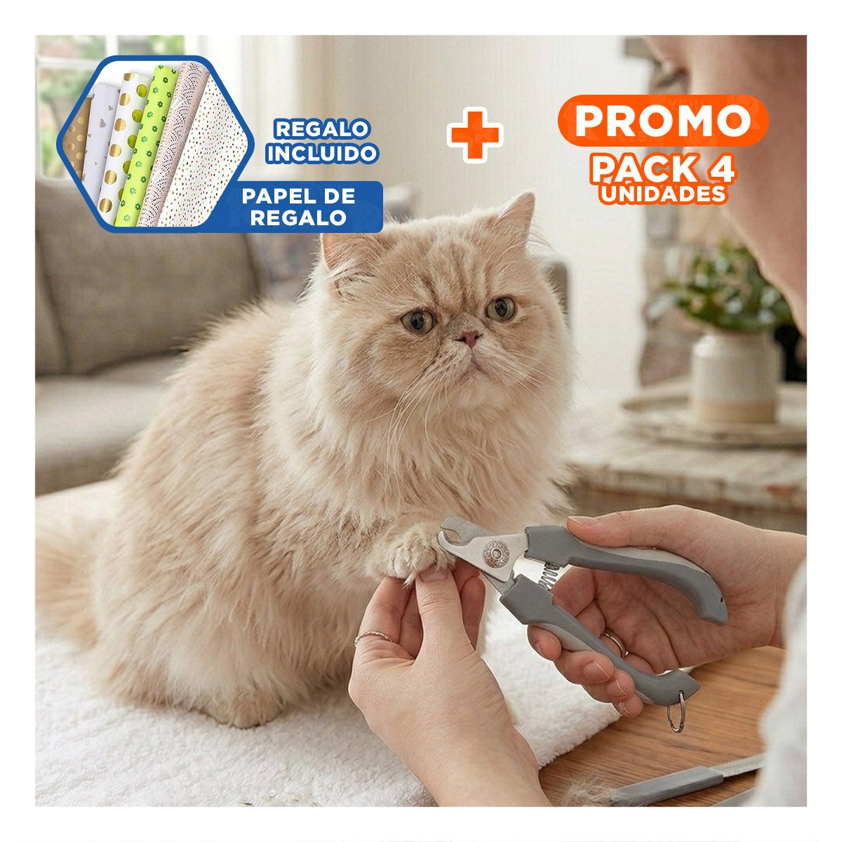 PACK4 HERRAMIENTA PROFESIONAL PLOMA CON LIMA MASCOTA PEQUENO Y+PAPEL REGALO - 1