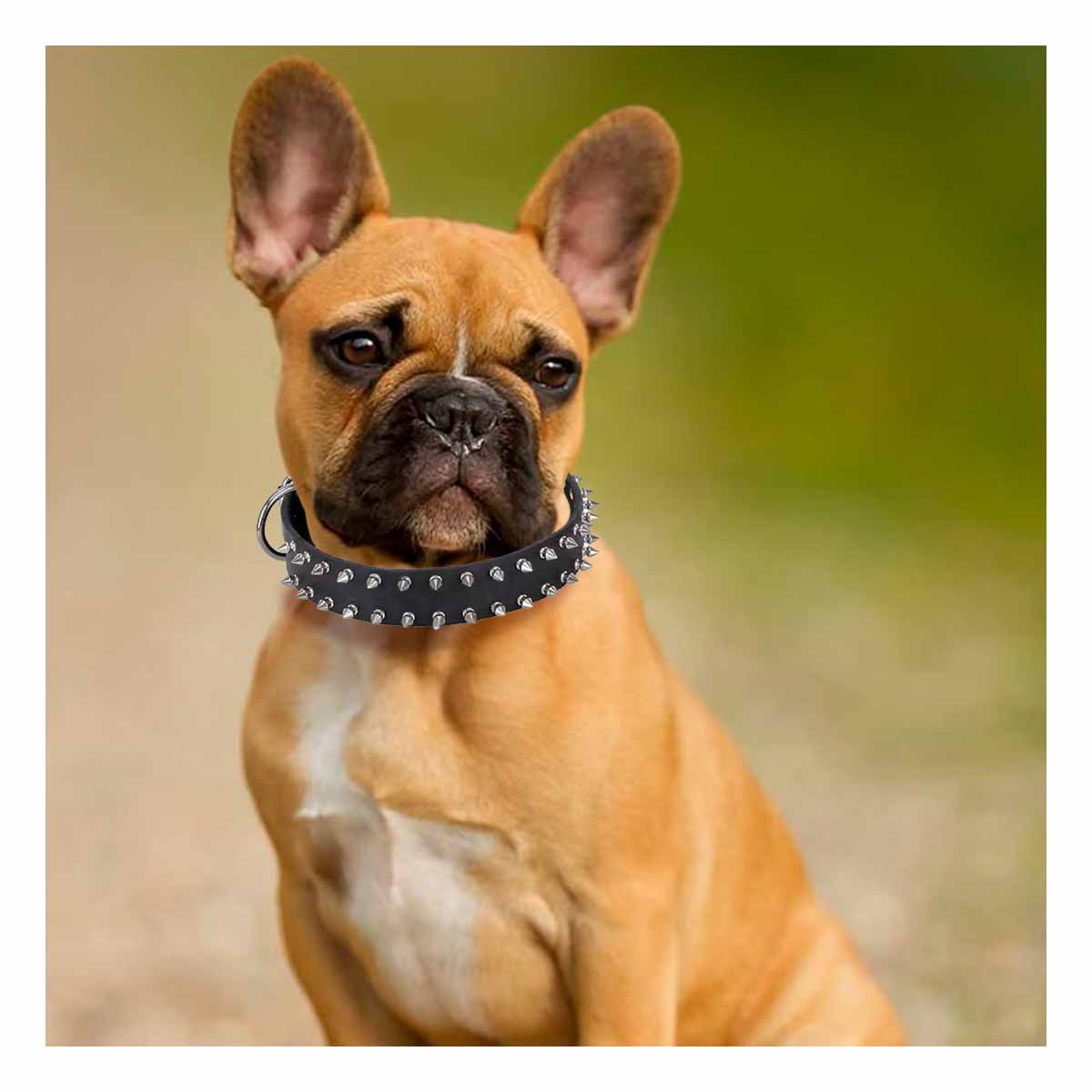 PACK6 BANDA NEGRA CON PUAS TALLA L COMODA Y ELEGANTE PARA PERROS GRANDES - 2