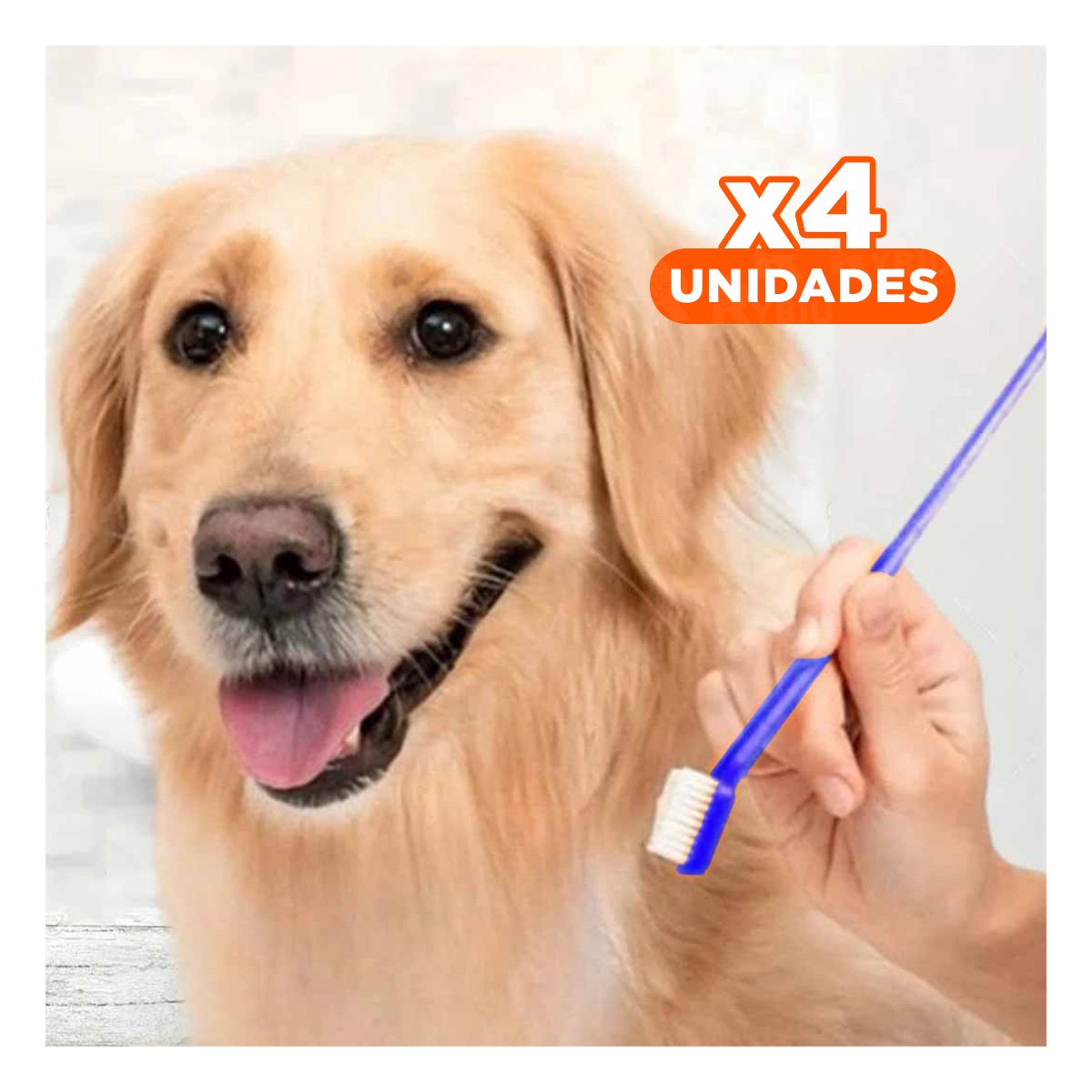 PACK4 EQUIPO DENTAL MASCOTAS 3 PIEZAS LIMPIEZA PROFUNDA Y COMODA - 1