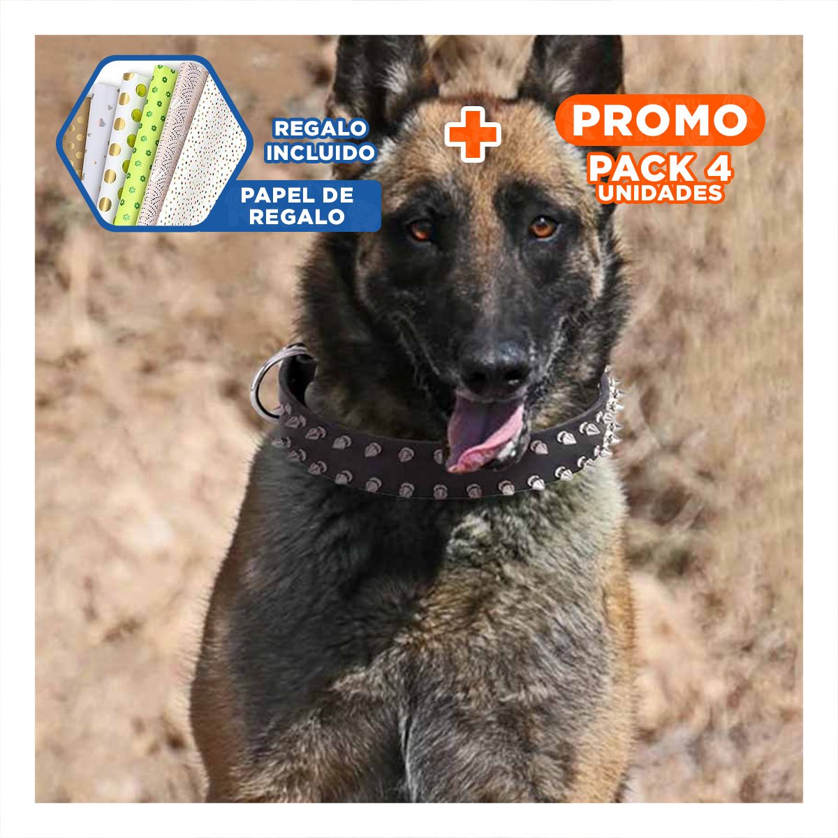 PACK4 COLLARIN NEGRO CLASICO CON PUAS TALLA XL ELEGANTE Y SEGURO PARA MASCOTAS Y+PAPEL REGALO - 1