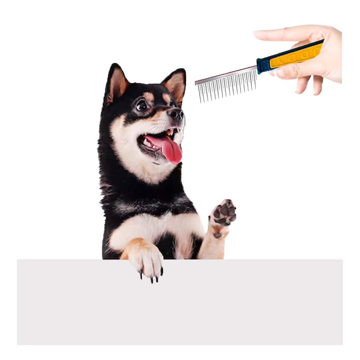 PACK6 INSTRUMENTO DE PELUQUERIA CANINA CON DIENTES DENTADOS - 5