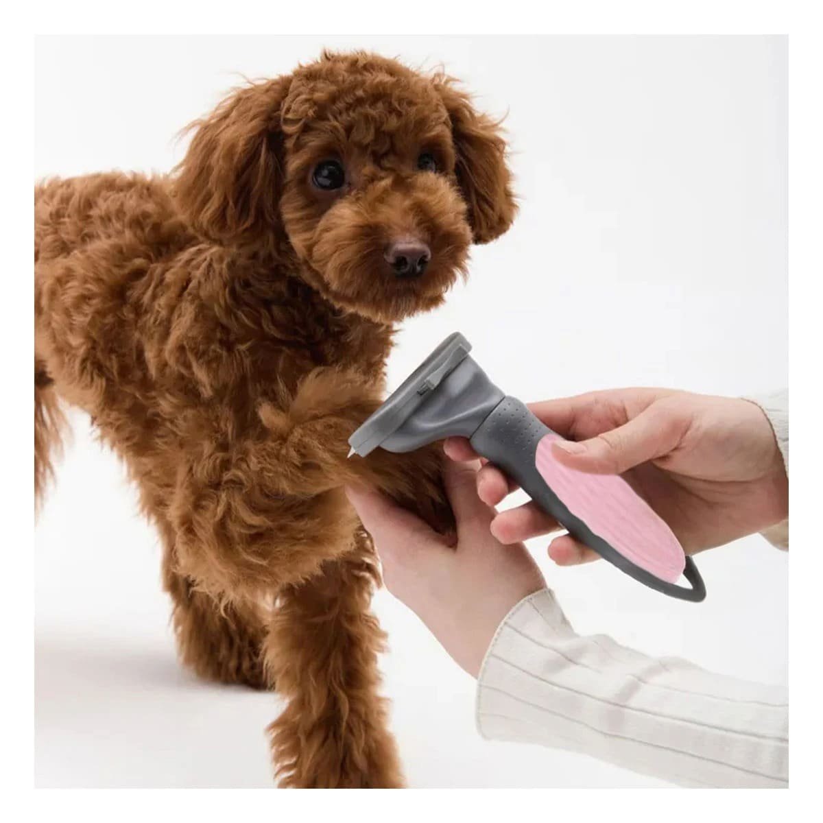 PACK12 REMOVEDOR DURADERO DE PELOS PARA MASCOTA ROSADO USO CONSTANTE - 2