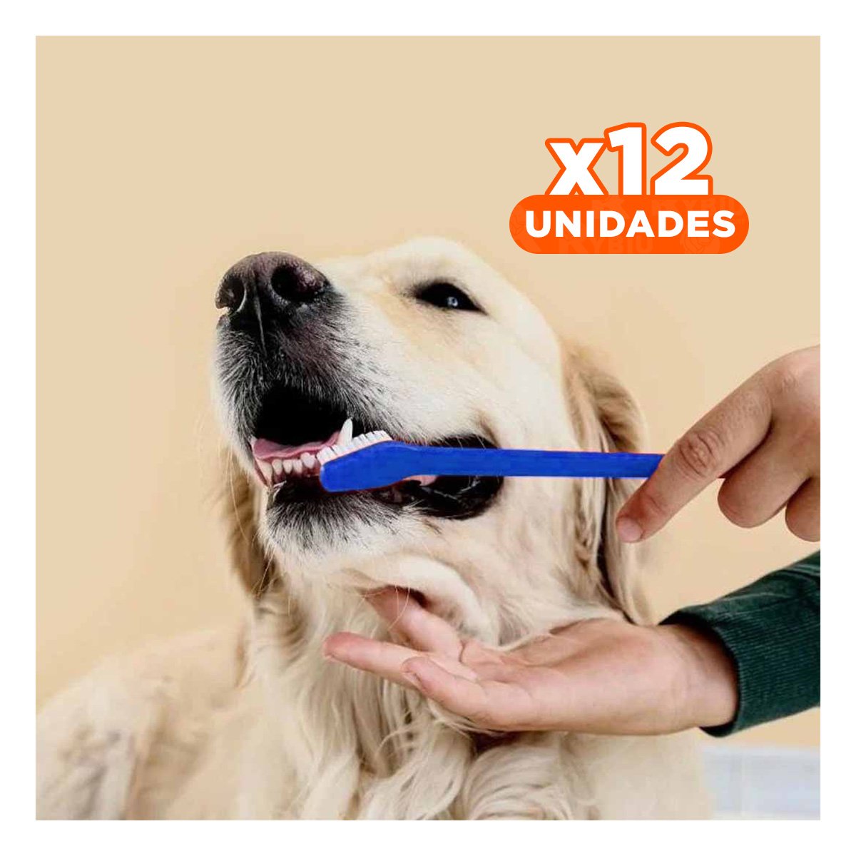 PACK12 KIT DE LIMPIEZA BUCAL PARA PERROS 3 CEPILLOS EFICACES - 1