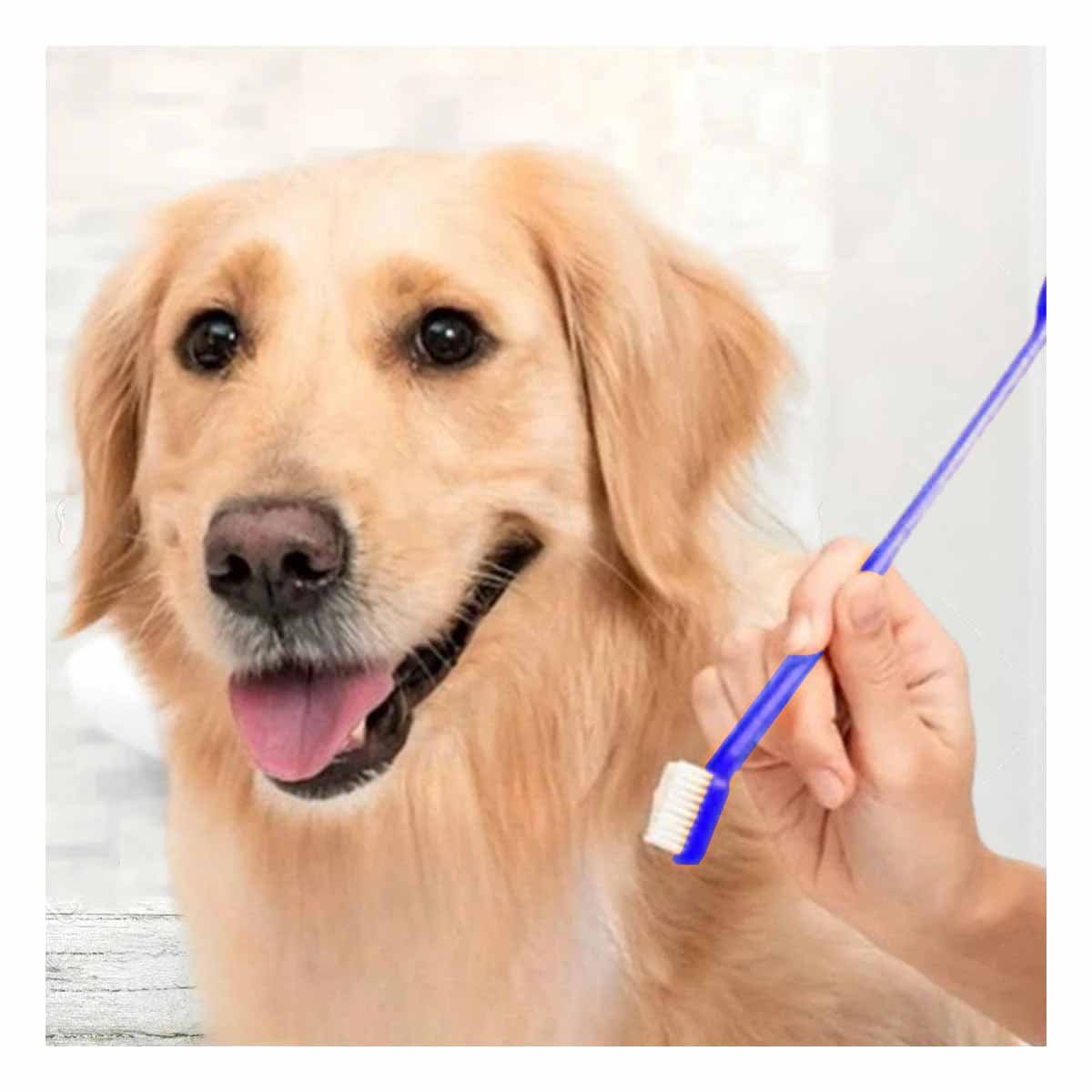 PACK12 KIT DE LIMPIEZA BUCAL PARA PERROS 3 CEPILLOS EFICACES - 3