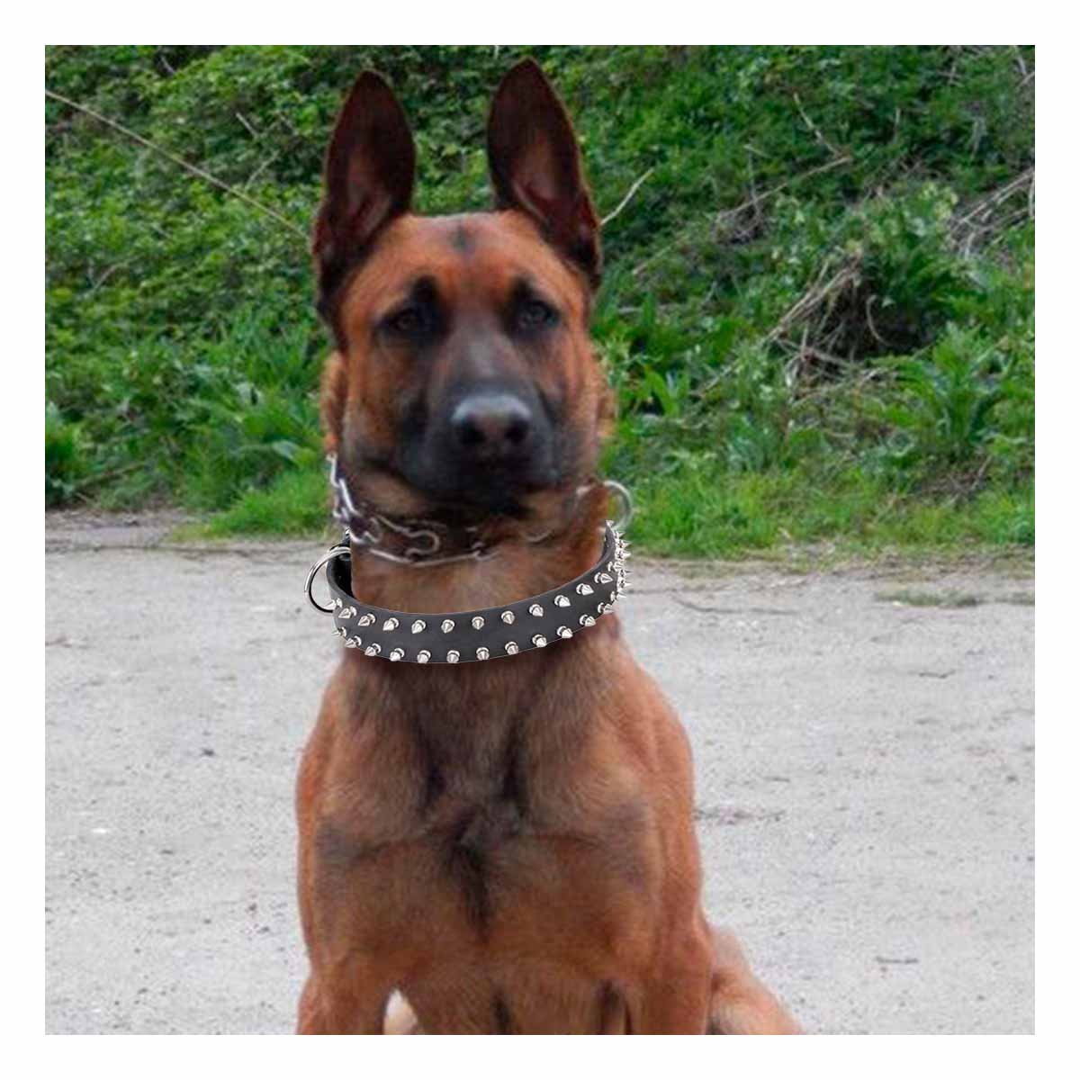 PACK4 COLLARIN NEGRO CON DETALLES EN PUAS TALLA XL COMODO Y DURABLE Y+REGALO STICKER - 5