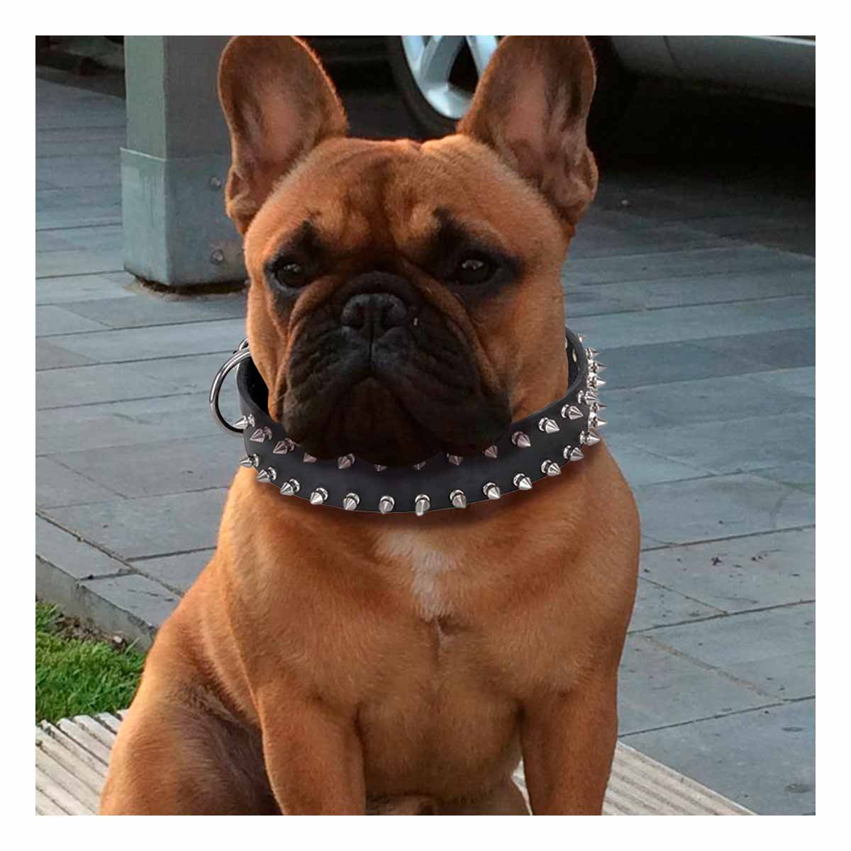 PACK4 COLLARIN NEGRO CLASICO CON PUAS TALLA L ELEGANTE Y SEGURO PARA MASCOTAS Y+PAPEL REGALO - 2
