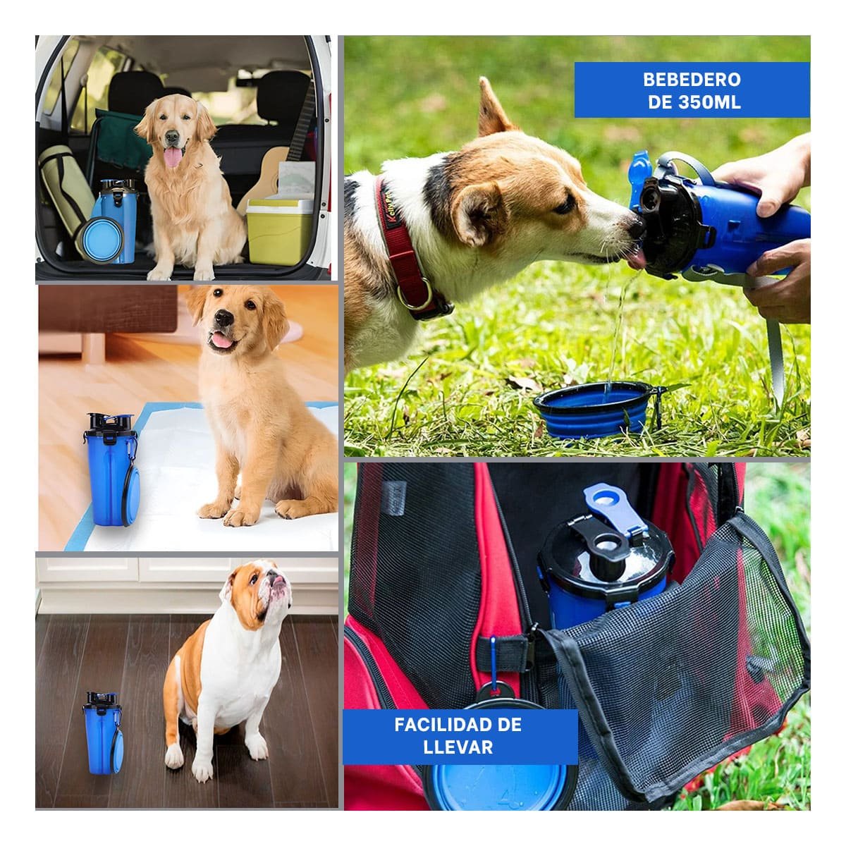 PACK2 RECIPIENTE COMPACTO PARA AGUA Y COMIDA AZUL Y+PAPEL REGALO - 3