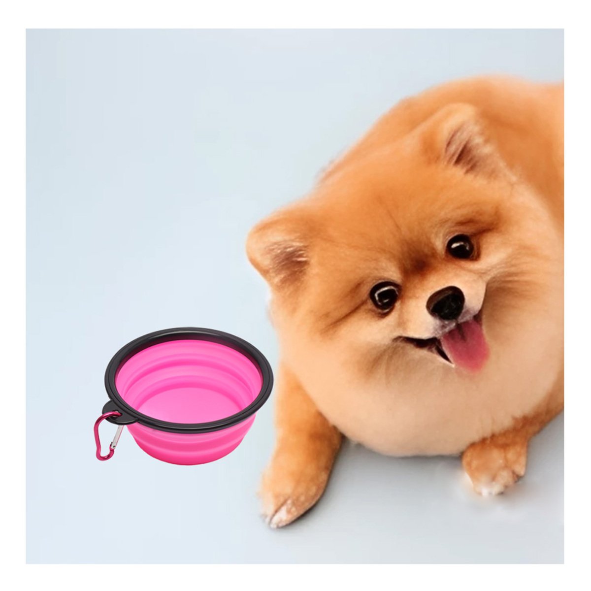 PACK2 RECIPIENTE DOBLE USO PARA MASCOTA CON PLATO ROSADO - 5