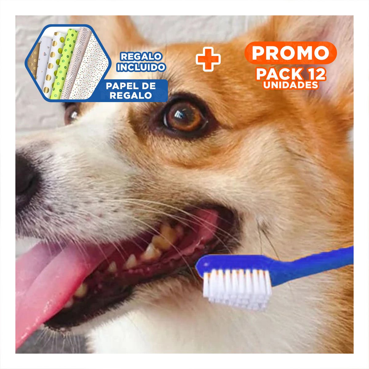 PACK12 KIT HIGIENE MASCOTAS 3 PIEZILLOS CUIDA DIENTES Y ENCIAS Y+PAPEL REGALO - 1