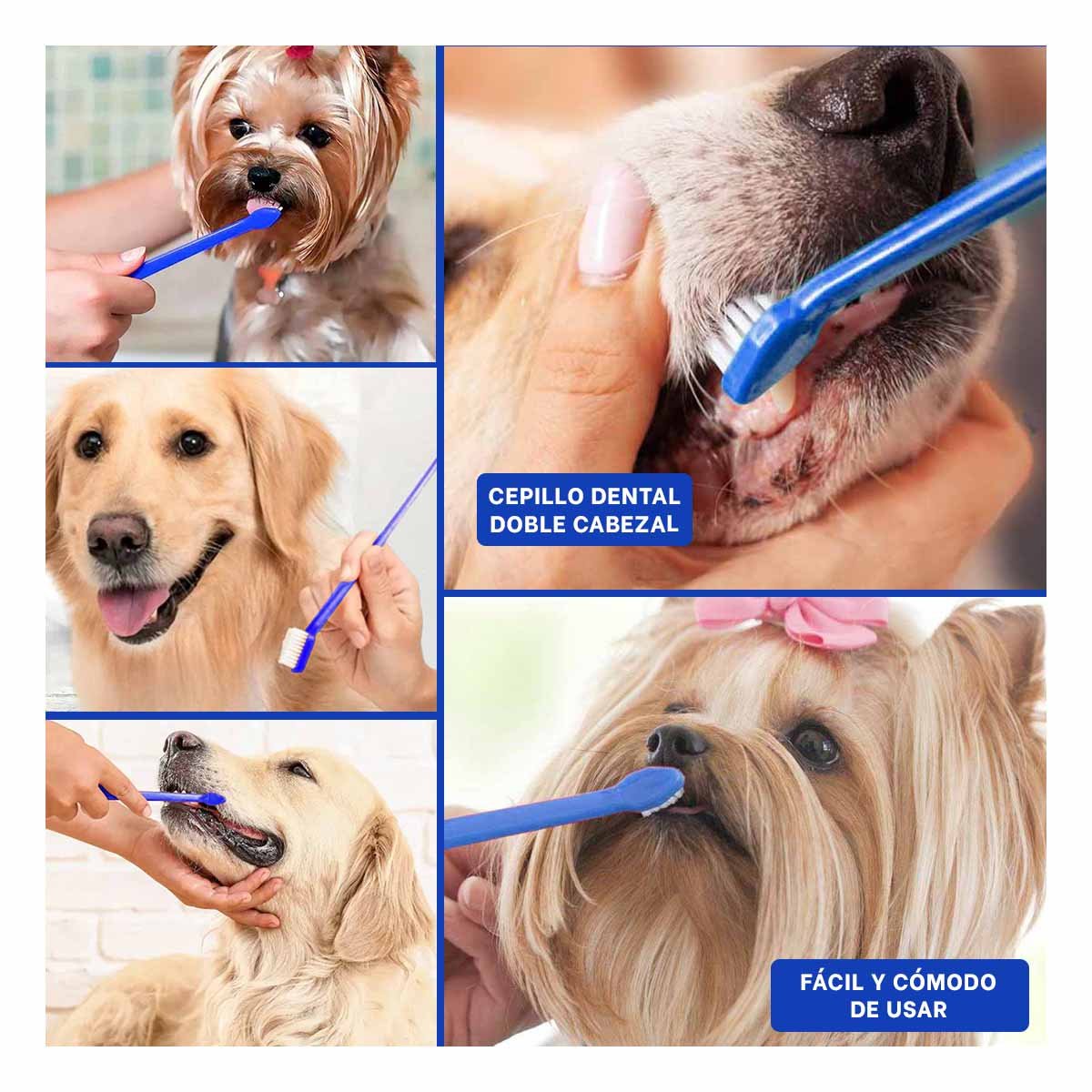 PACK12 KIT HIGIENE MASCOTAS 3 PIEZILLOS CUIDA DIENTES Y ENCIAS Y+PAPEL REGALO - 2