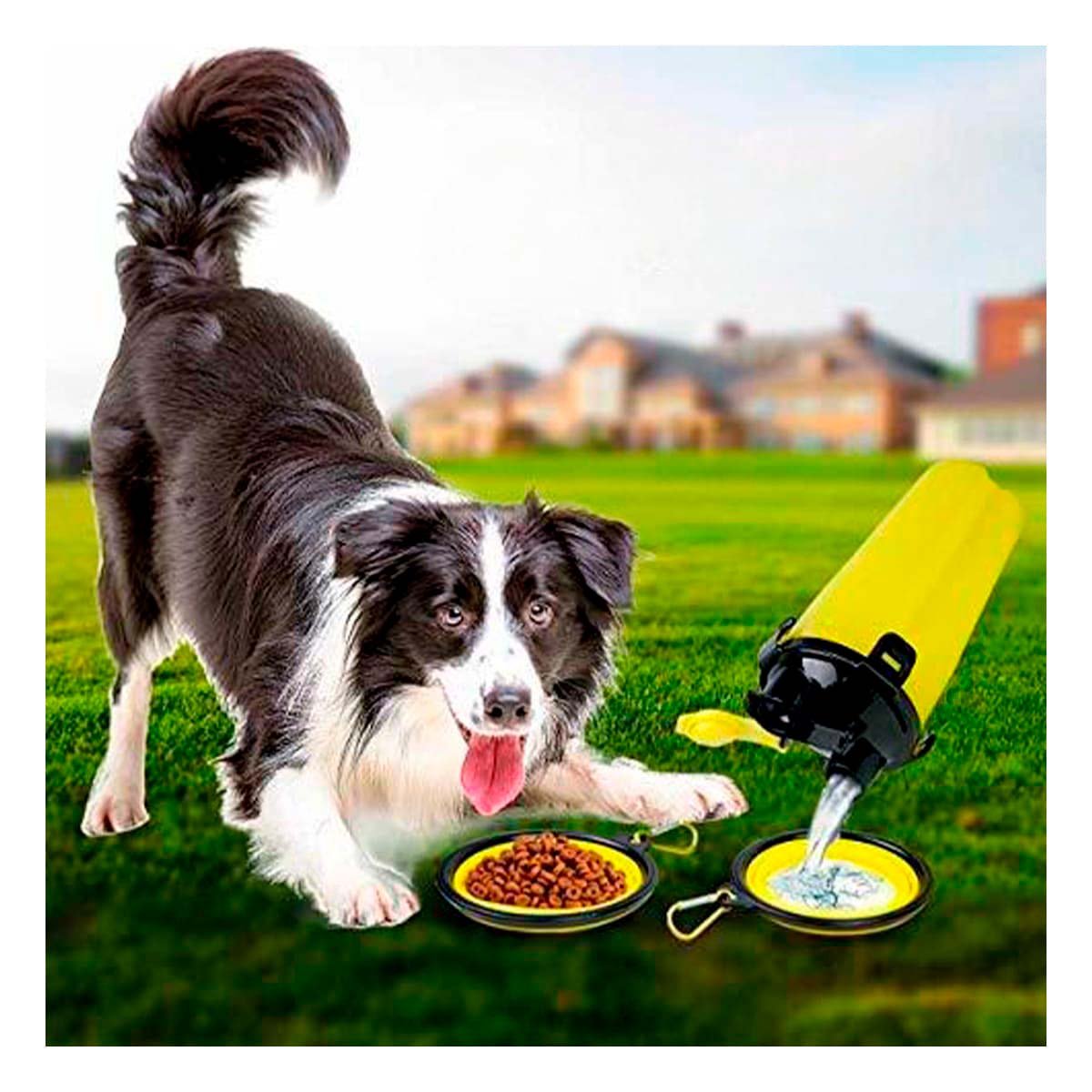 PACK12 PLATO DE VIAJE PARA MASCOTA CON SISTEMA 2 EN 1 AMARILLO Y+REGALO STICKER - 3