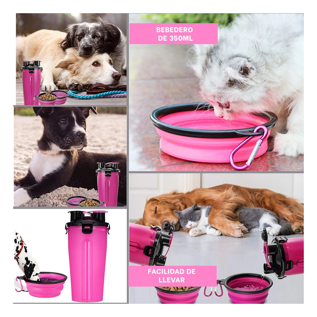 PACK4 CONTENEDOR DOBLE FUNCION CON BEBEDERO ROSADO Y+REGALO STICKER - 2