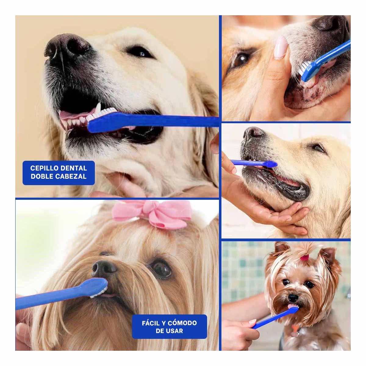 PACK4 EQUIPO DE LIMPIEZA MASCOTAS 3 CEPILLOS CUIDA DIENTES Y ENCIAS Y+REGALO STICKER - 2