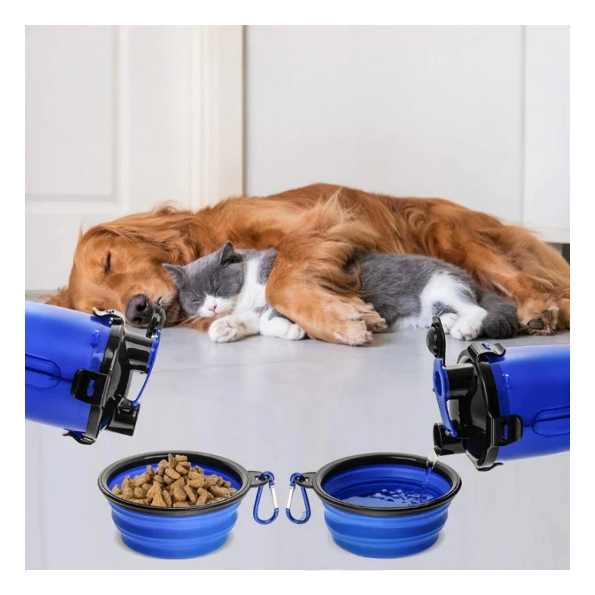 PACK12 PLATO DOBLE FUNCION PARA MASCOTA CON DEPOSITO AZUL - 3