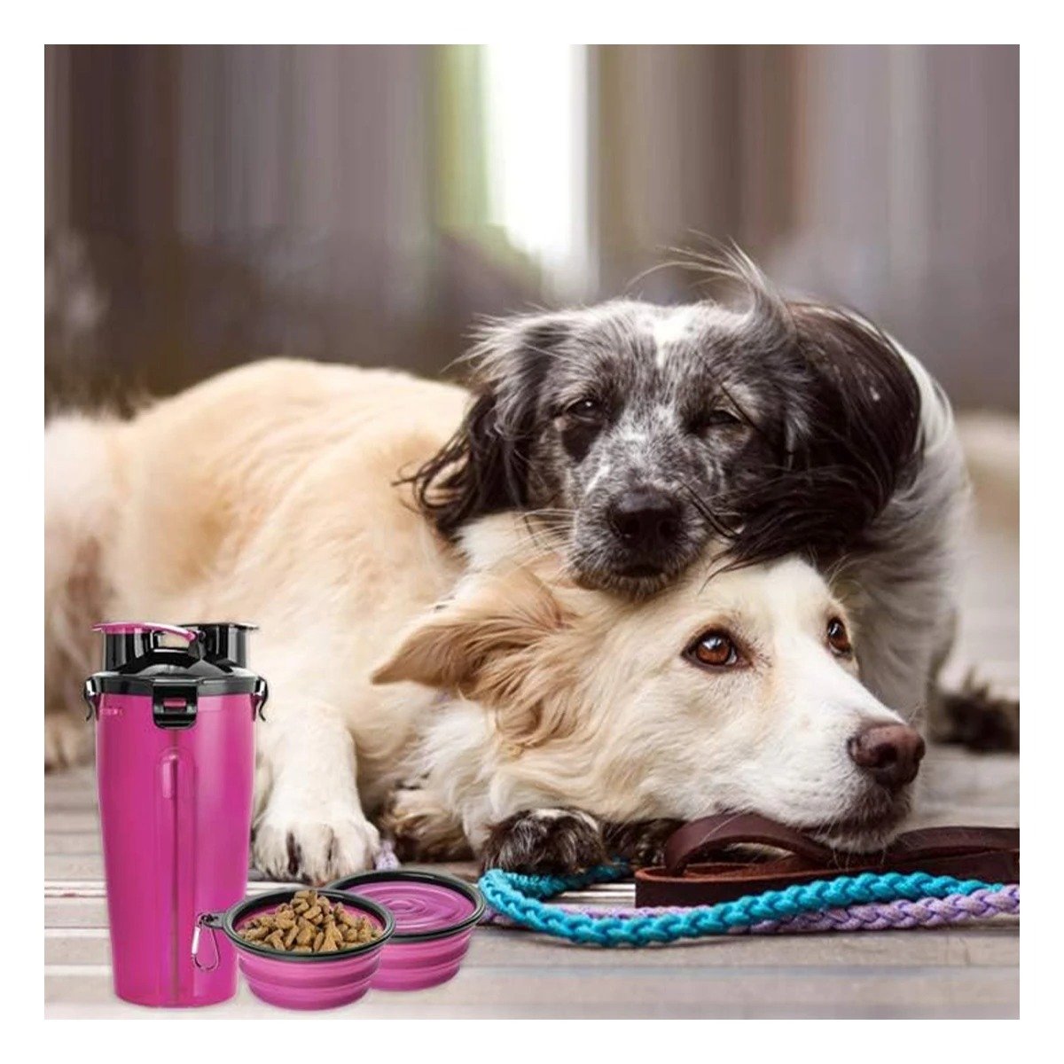 PACK2 RECIPIENTE PRACTICO CON PLATO PLEGABLE PARA MASCOTA ROSADO Y+REGALO STICKER - 3