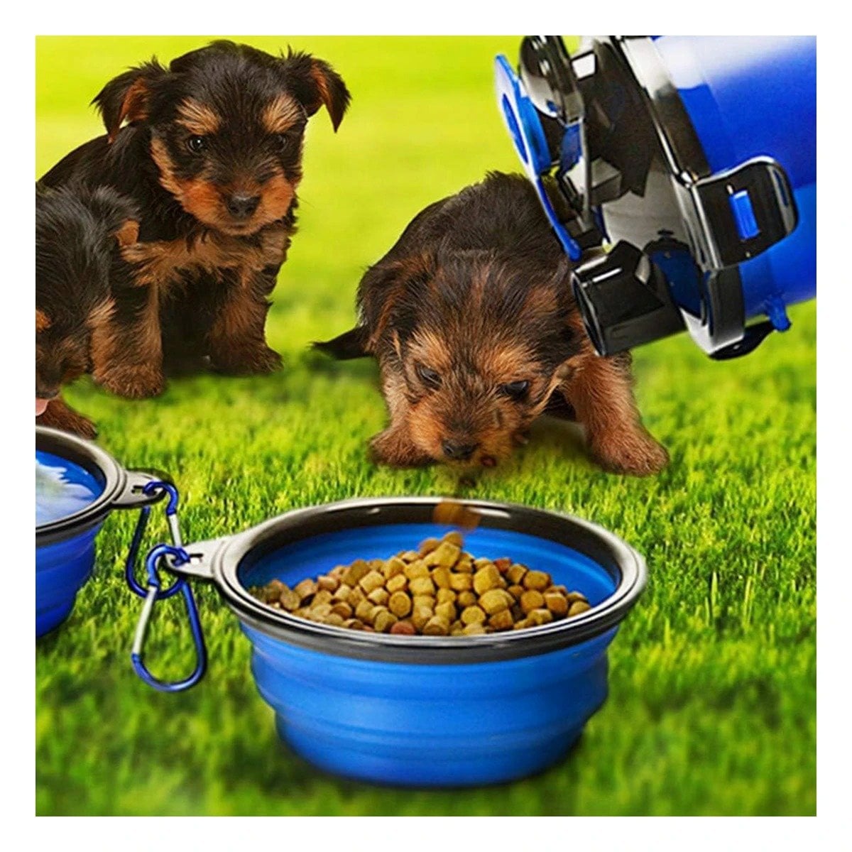 PACK4 CONTENEDOR CON PLATO PLEGABLE INTEGRADO PARA MASCOTA AZUL Y+PAPEL REGALO - 2