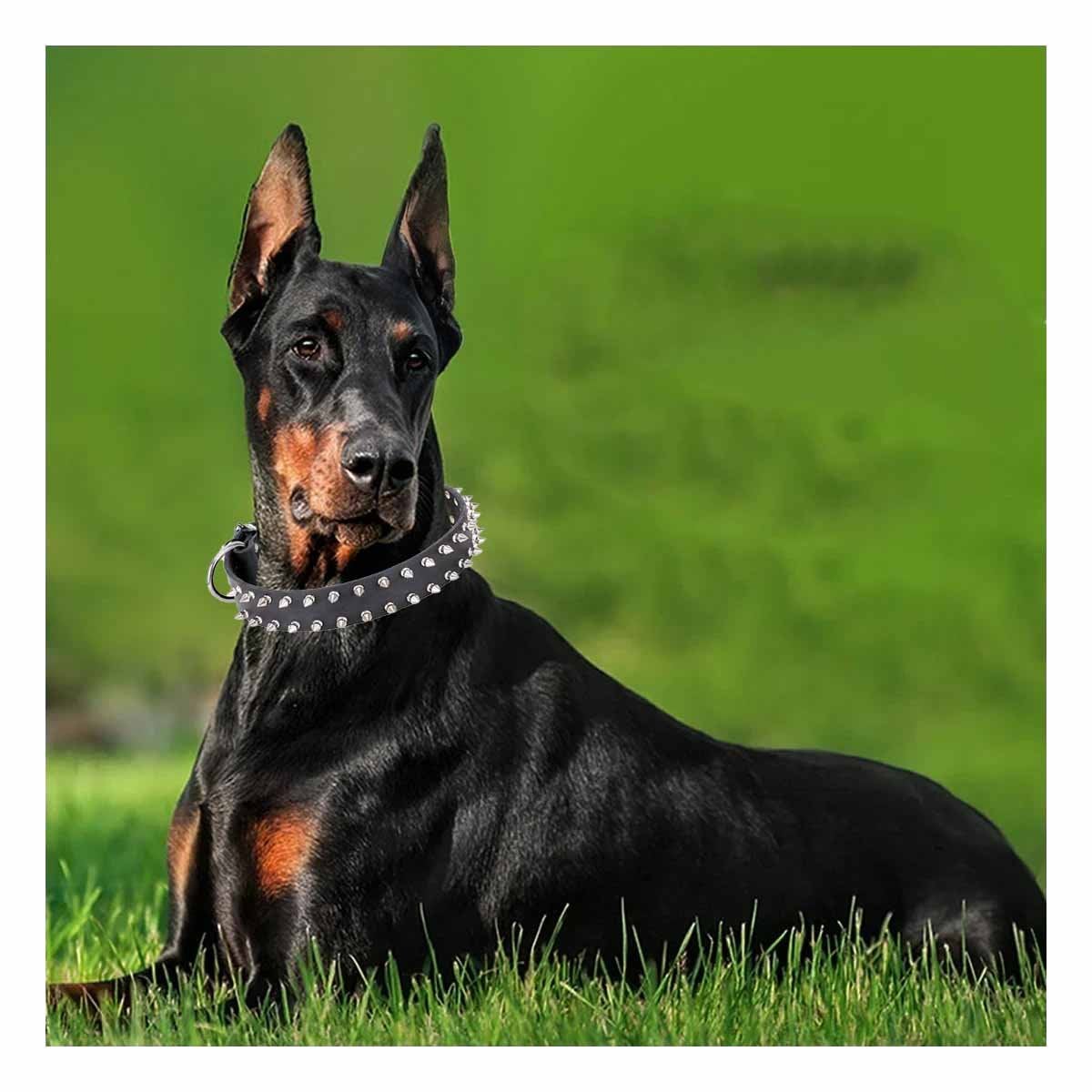 PACK4 COLLARIN NEGRO DE CUERO CON PUAS TALLA XL RESISTENTE Y ESTILIZADO PARA PERROS - 2