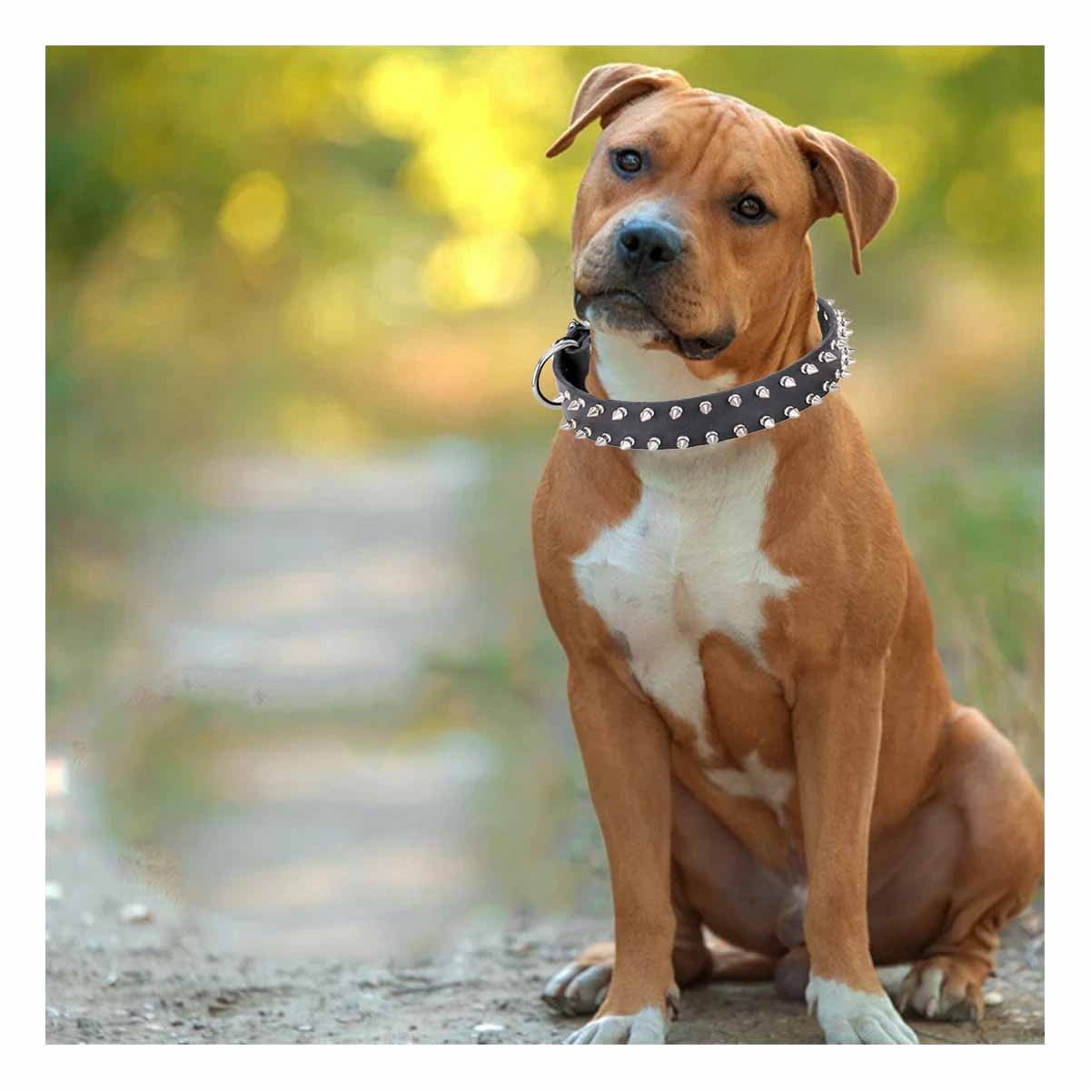 PACK4 COLLARIN NEGRO DE CUERO CON PUAS TALLA XL RESISTENTE Y ESTILIZADO PARA PERROS - 5
