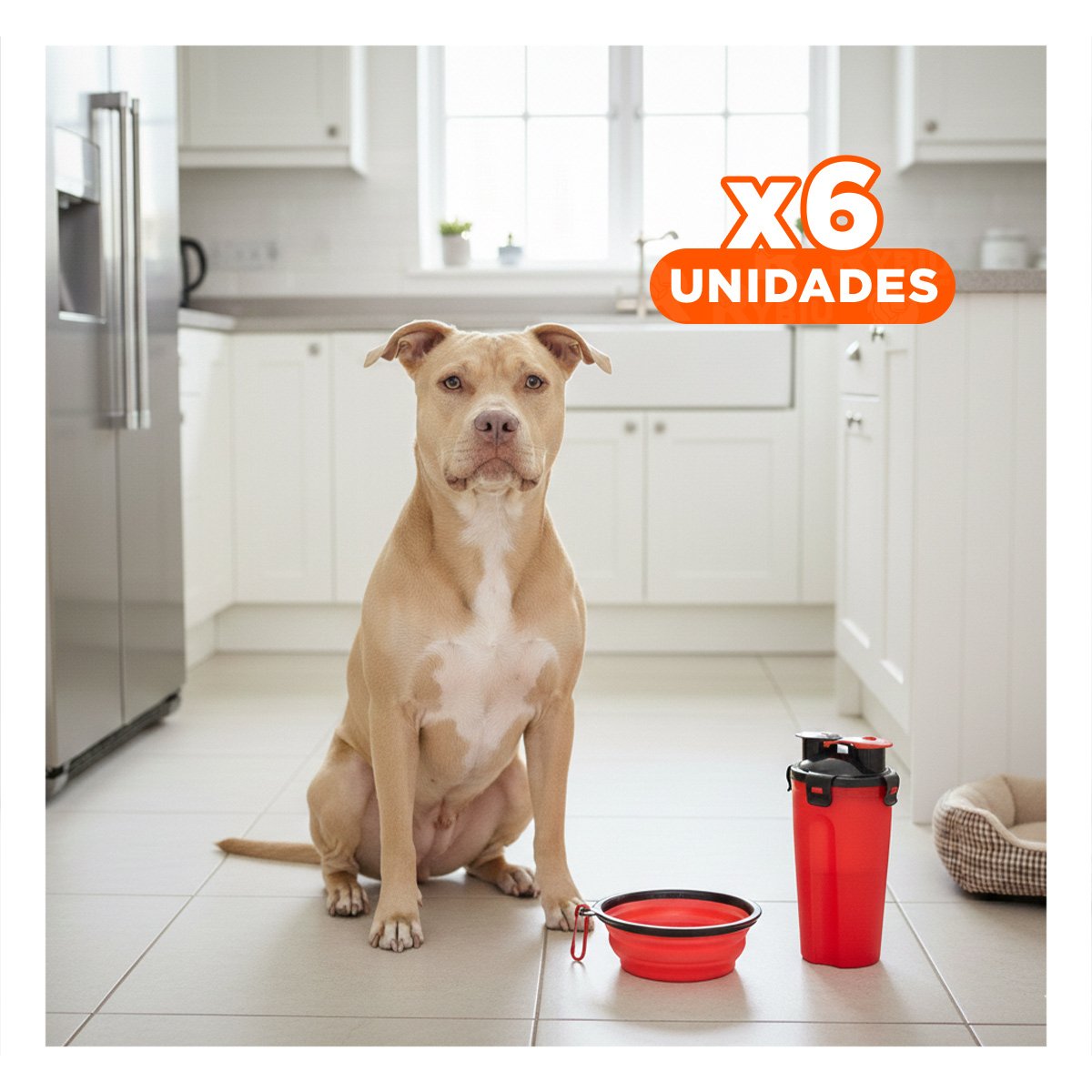 PACK6 ACCESORIO DOBLE USO PARA MASCOTA ROJO Y+REGALO STICKER - 1