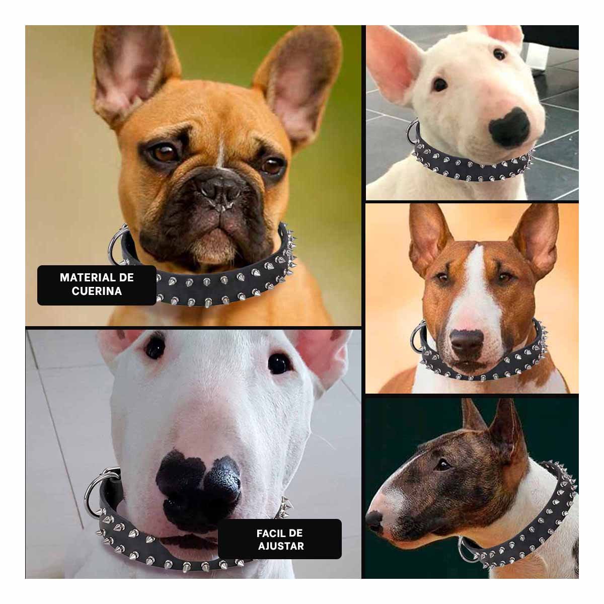 PACK4 COLLARIN NEGRO CON DETALLES EN PUAS TALLA L COMODO Y DURABLE Y+REGALO STICKER - 2