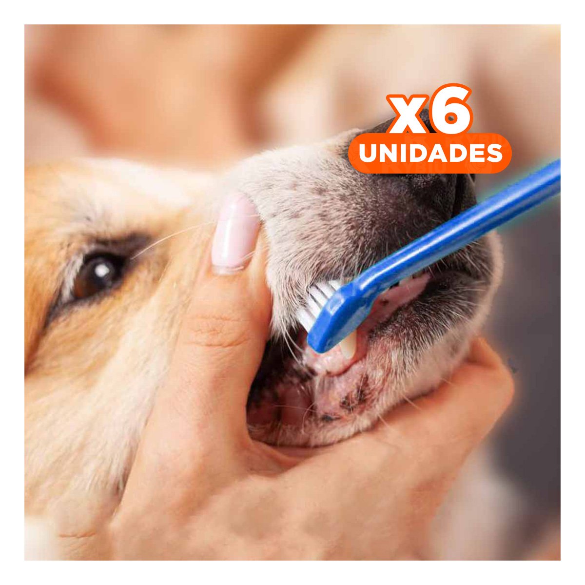 PACK6 KIT PROFESIONAL DENTAL MASCOTAS 3 PIEZAS LIMPIEZA SEGURA Y FACIL Y+REGALO STICKER - 1