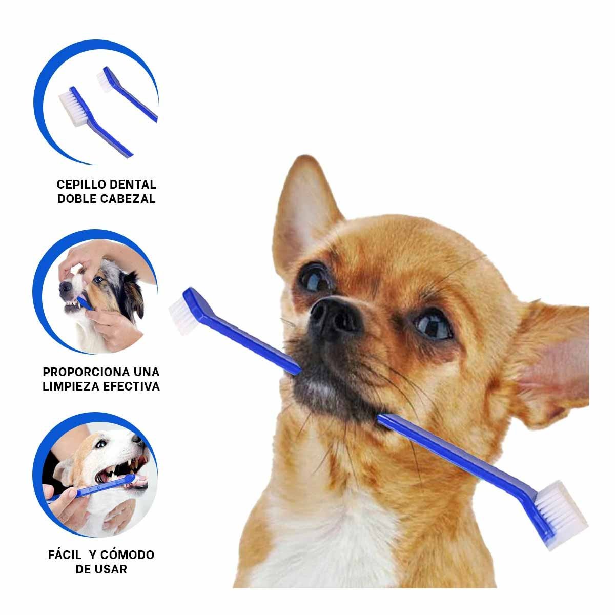 PACK6 KIT PROFESIONAL DENTAL MASCOTAS 3 PIEZAS LIMPIEZA SEGURA Y FACIL Y+REGALO STICKER - 2
