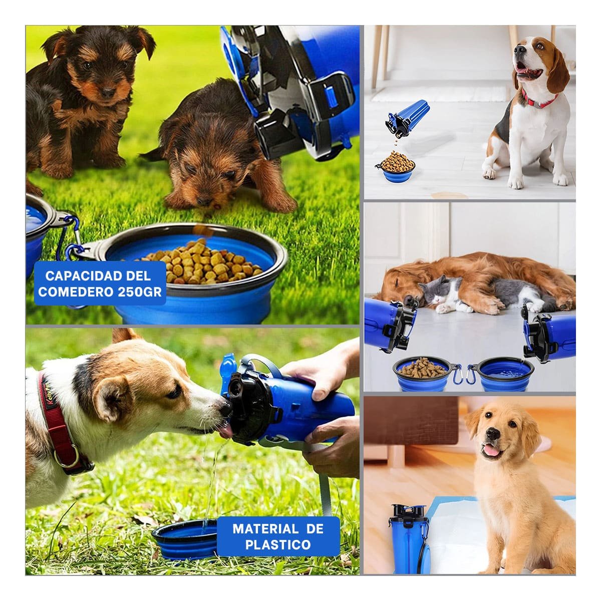 PACK4 CONTENEDOR DOBLE FUNCION CON BEBEDERO AZUL Y+REGALO STICKER - 2