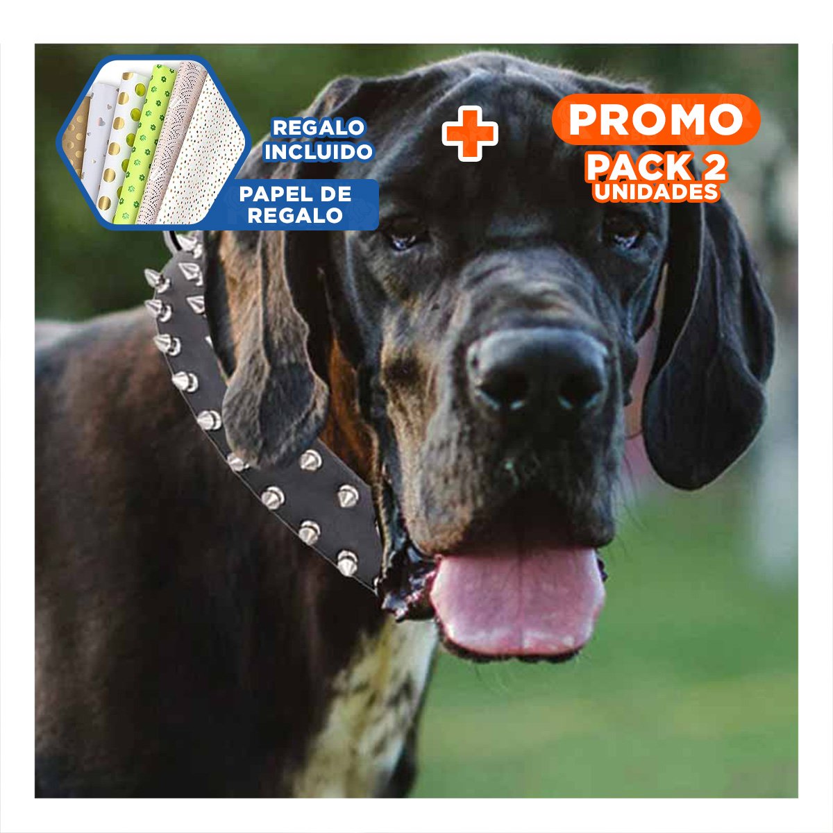 PACK2 COLLARIN NEGRO CON PUAS TALLA XL SEGURO Y MODERNO PARA MASCOTAS GRANDES Y+PAPEL REGALO - 1