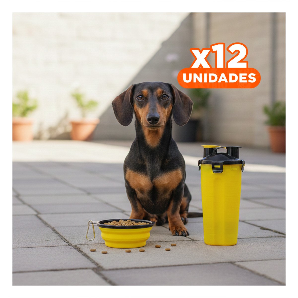 PACK12 PLATO DOBLE FUNCION PARA MASCOTA CON DEPOSITO AMARILLO - 1