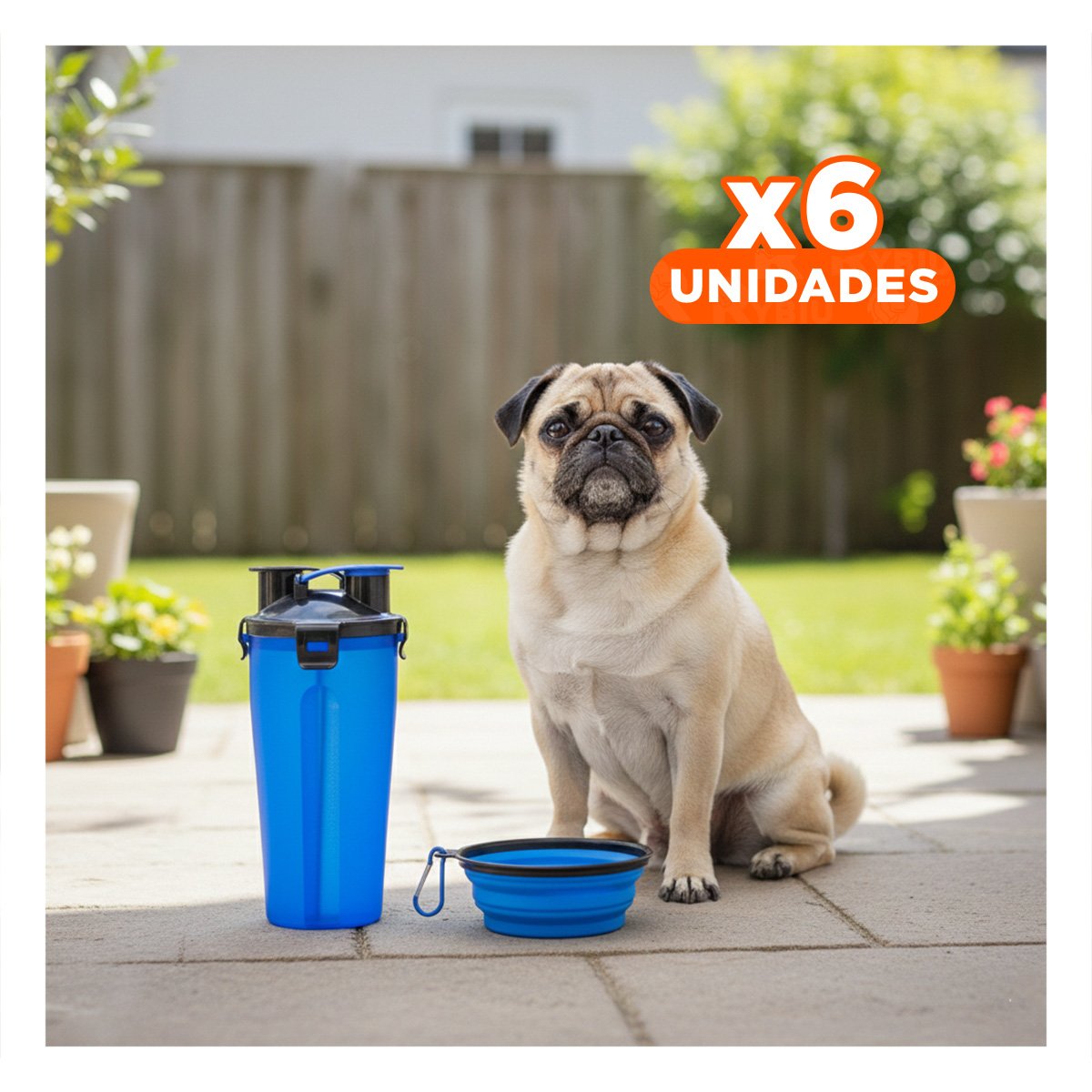 PACK6 PLATO PORTATIL CON BEBEDERO INTEGRADO PARA MASCOTA AZUL Y+REGALO STICKER - 1