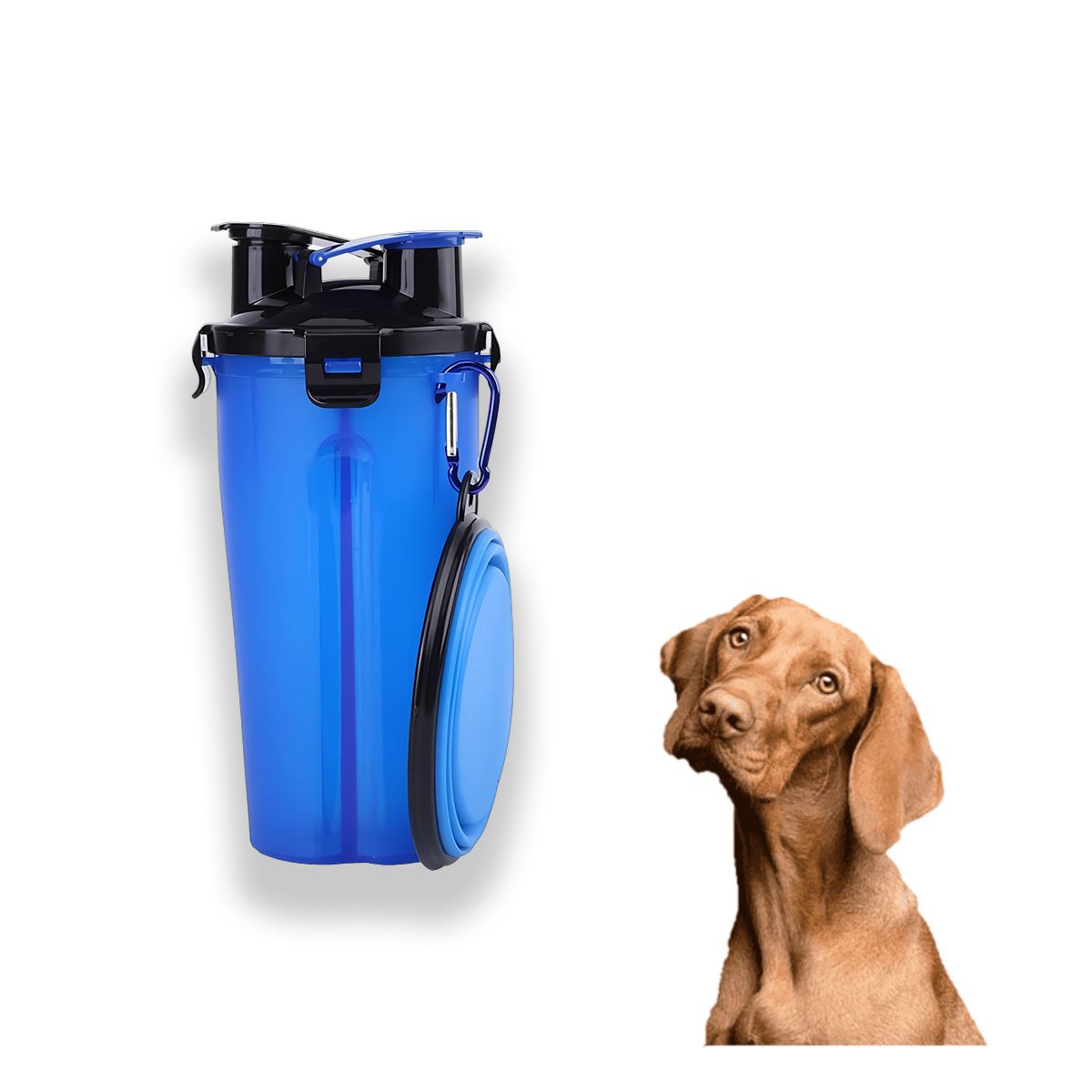 PACK6 PLATO PORTATIL CON BEBEDERO INTEGRADO PARA MASCOTA AZUL Y+REGALO STICKER - 2