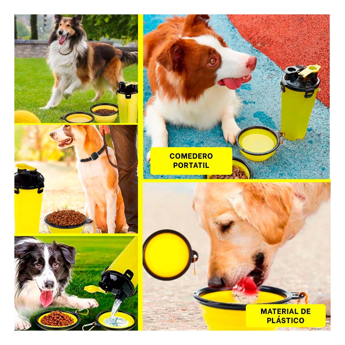 PACK12 PLATO PLEGABLE CON COMEDERO Y BEBEDERO AMARILLO Y+PAPEL REGALO - 2