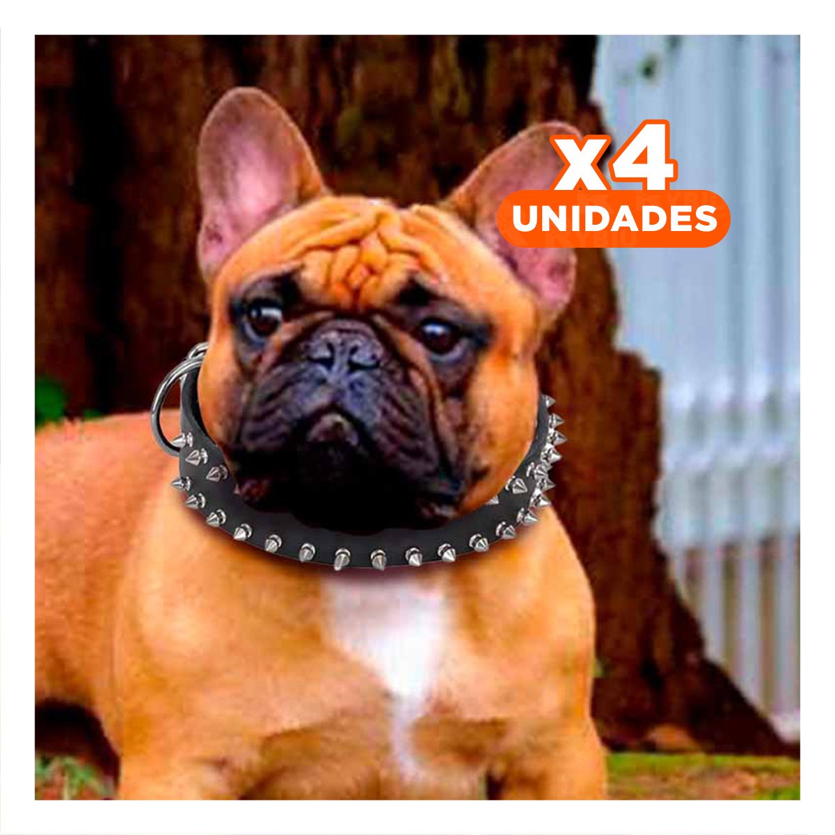 PACK4 COLLARIN NEGRO DE CUERO CON PUAS TALLA L RESISTENTE Y ESTILIZADO PARA PERROS - 1