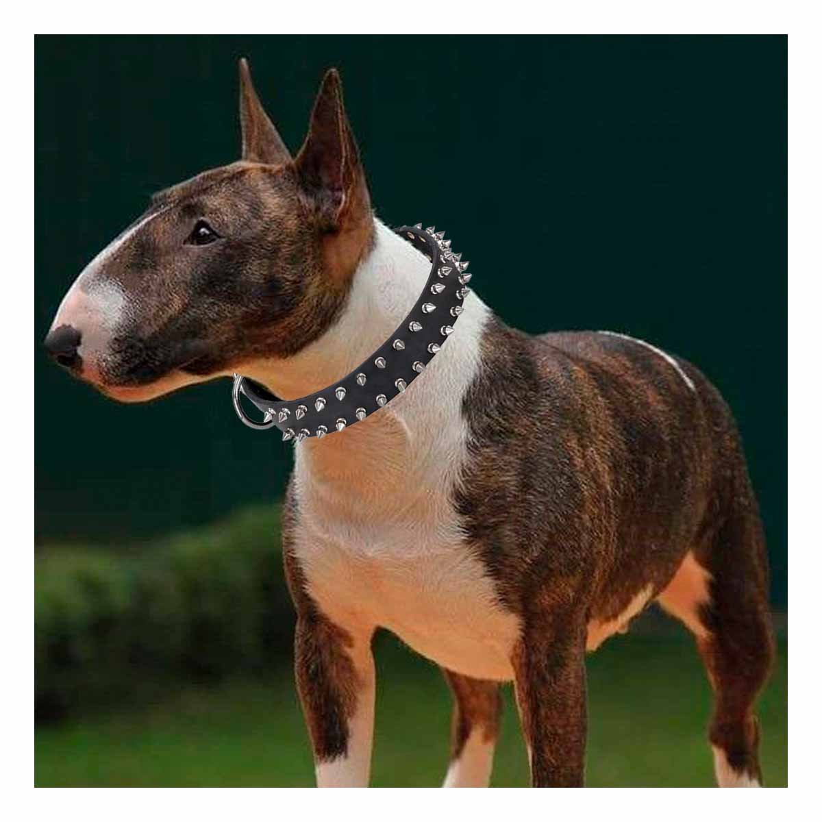 PACK4 COLLARIN NEGRO DE CUERO CON PUAS TALLA L RESISTENTE Y ESTILIZADO PARA PERROS - 3