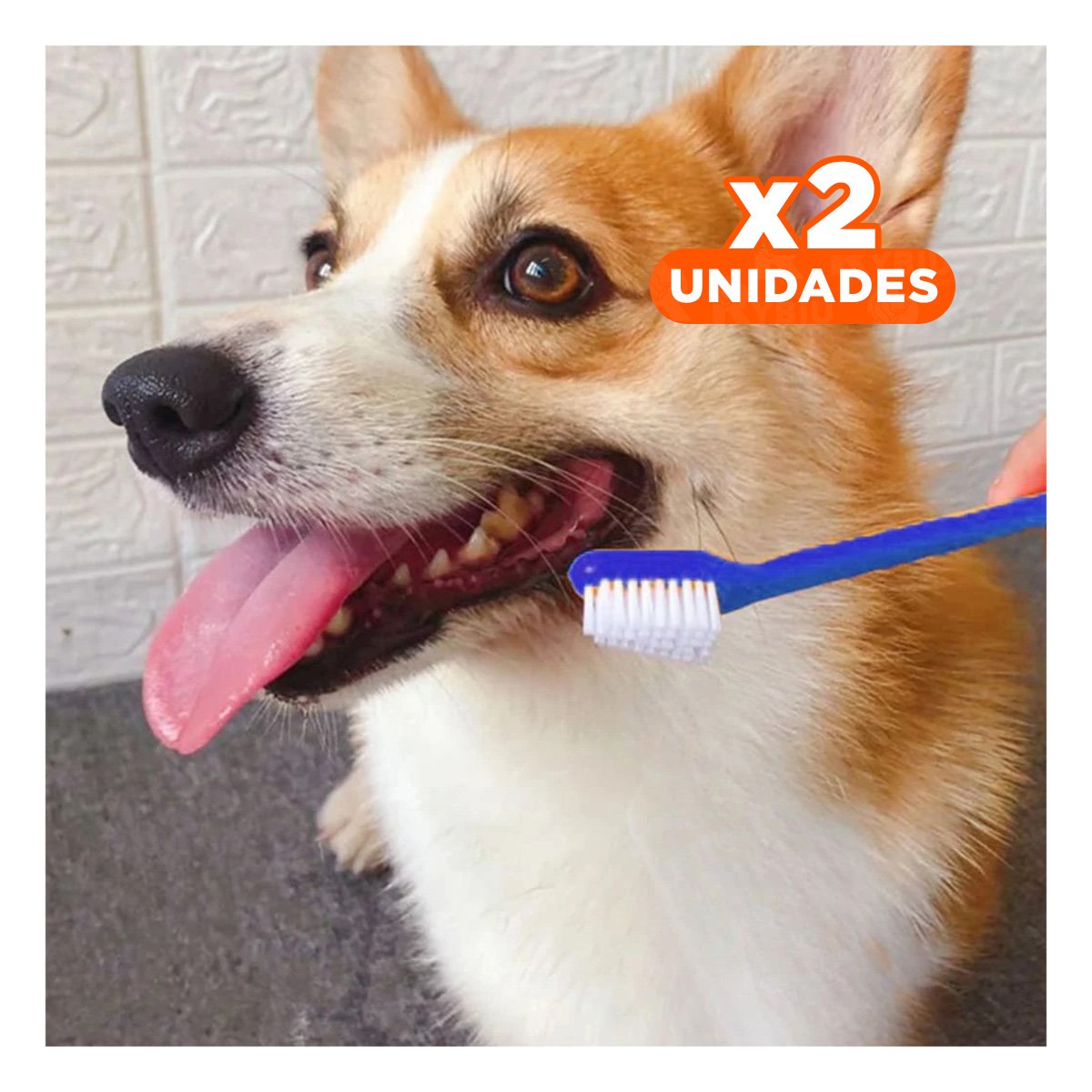 PACK2 ACCESORIO PARA MASCOTAS 3 PIEZILLOS USO DIARIO SEGURO Y+REGALO STICKER - 1