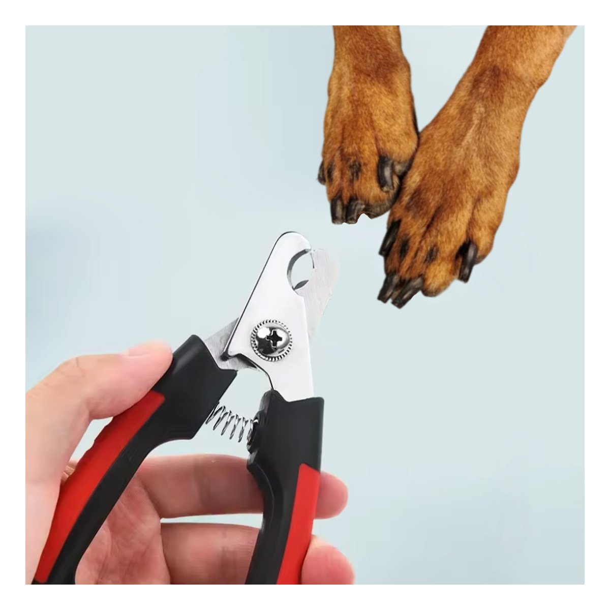 PACK6 HERRAMIENTA DE GROOMING CON TOPE ROJO GRANDE PARA MAS SEGURIDAD Y+PAPEL REGALO - 2
