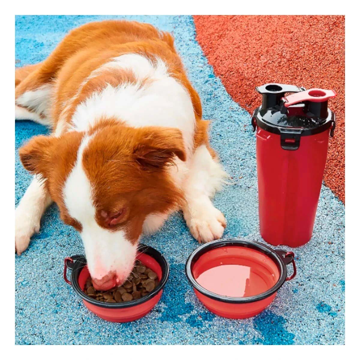 PACK6 ACCESORIO PORTATIL PARA ALIMENTACION DE MASCOTA ROJO - 3