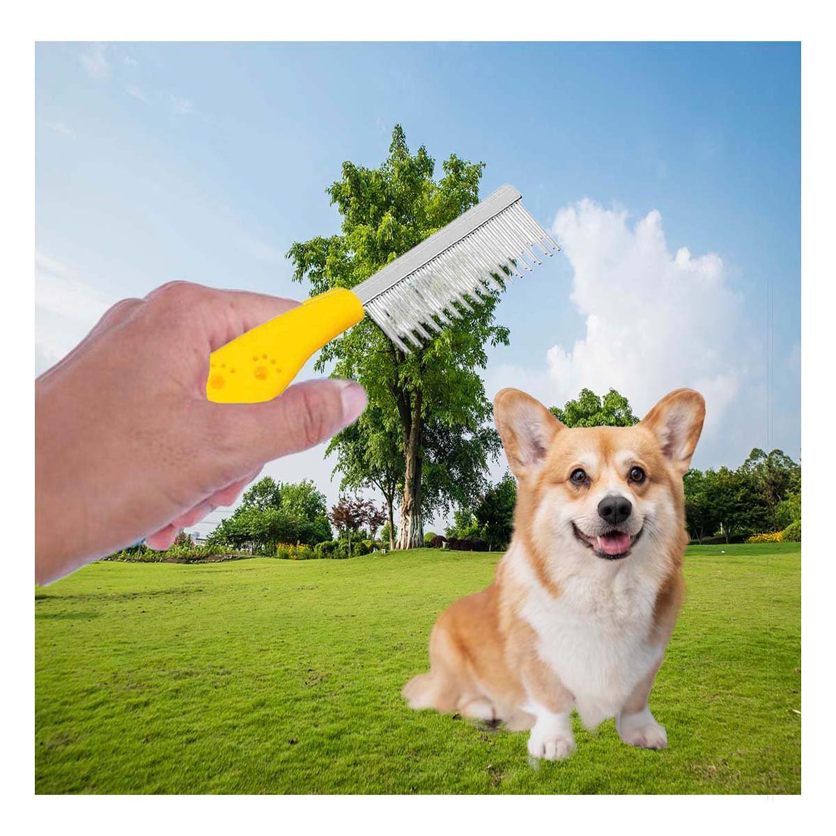 PACK2 UTENSILIO PARA MASCOTAS CON MANGO Y DIENTES DE 2 TAMANOS AMARILLO Y+REGALO STICKER - 3
