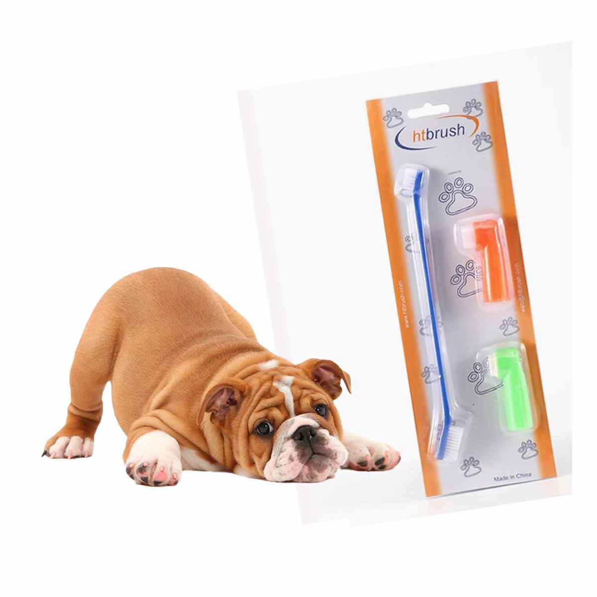 PACK12 KIT PARA MASCOTAS 3 PIEZAS LIMPIEZA PROFUNDA Y COMODA Y+REGALO STICKER - 2