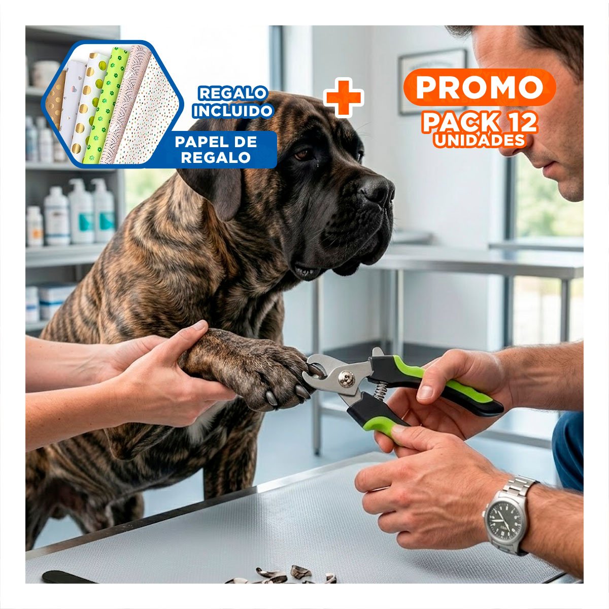 PACK12 SET DE PEDICURA PARA MASCOTAS DE FUNCION PRACTICA VERDE TALLA L Y+PAPEL REGALO - 1