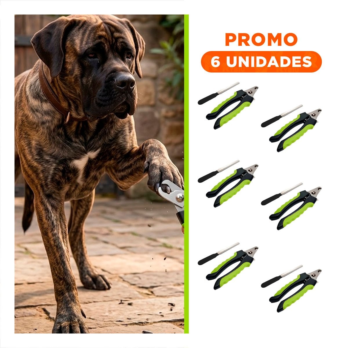 PACK6 SET DE PEDICURA PARA MASCOTAS PARA FOMENTAR MUCHA LIMPIEZA VERDE TALLA L - 1