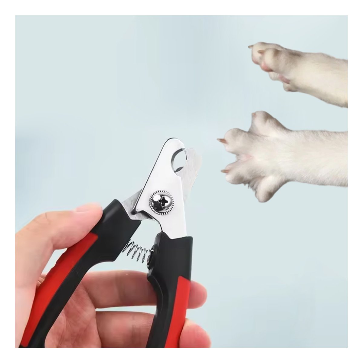 PACK4 HERRAMIENTA DE GROOMING CON ESTRUCTURA DE MUCHA FUERZA ROJO CHICO - 5