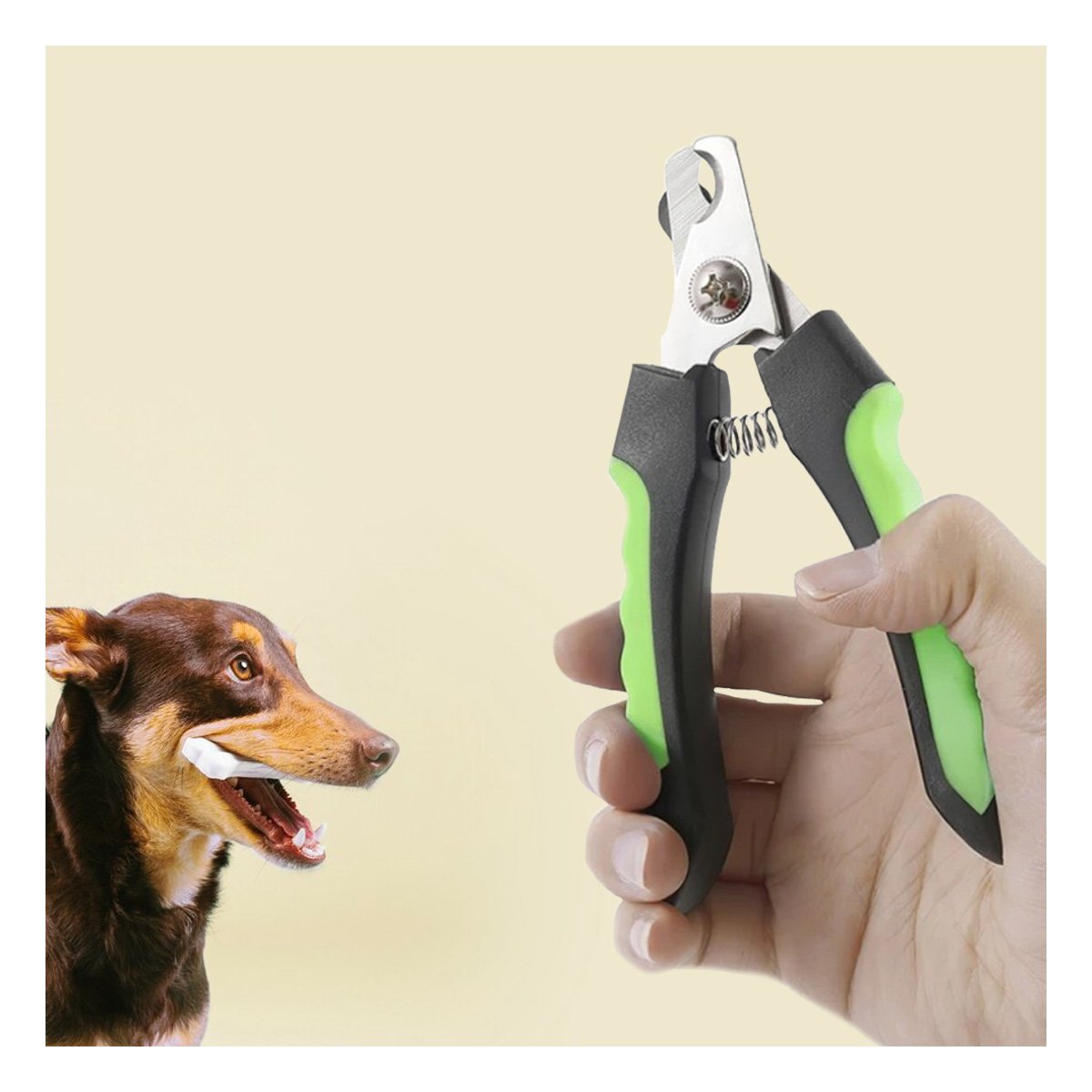 PACK6 SET DE PEDICURA PARA MASCOTAS PARA FOMENTAR MUCHA LIMPIEZA VERDE CON LIMA - 5