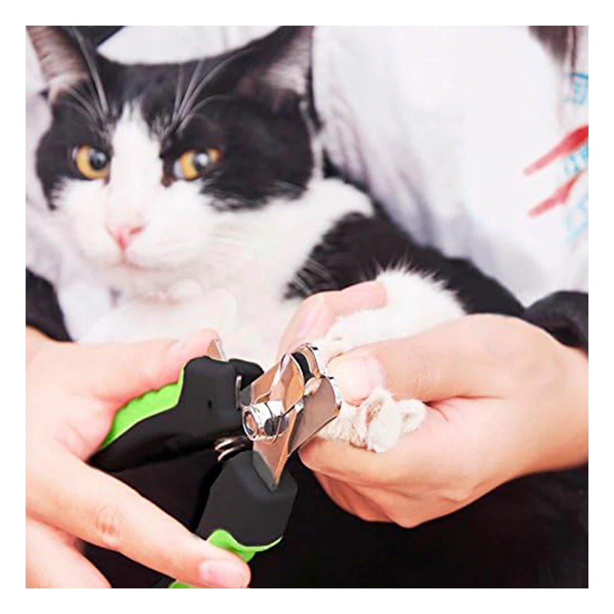 PACK6 HERRAMIENTA DE GROOMING CON TOPE VERDE CON LIMA PARA MAS SEGURIDAD Y+PAPEL REGALO - 5