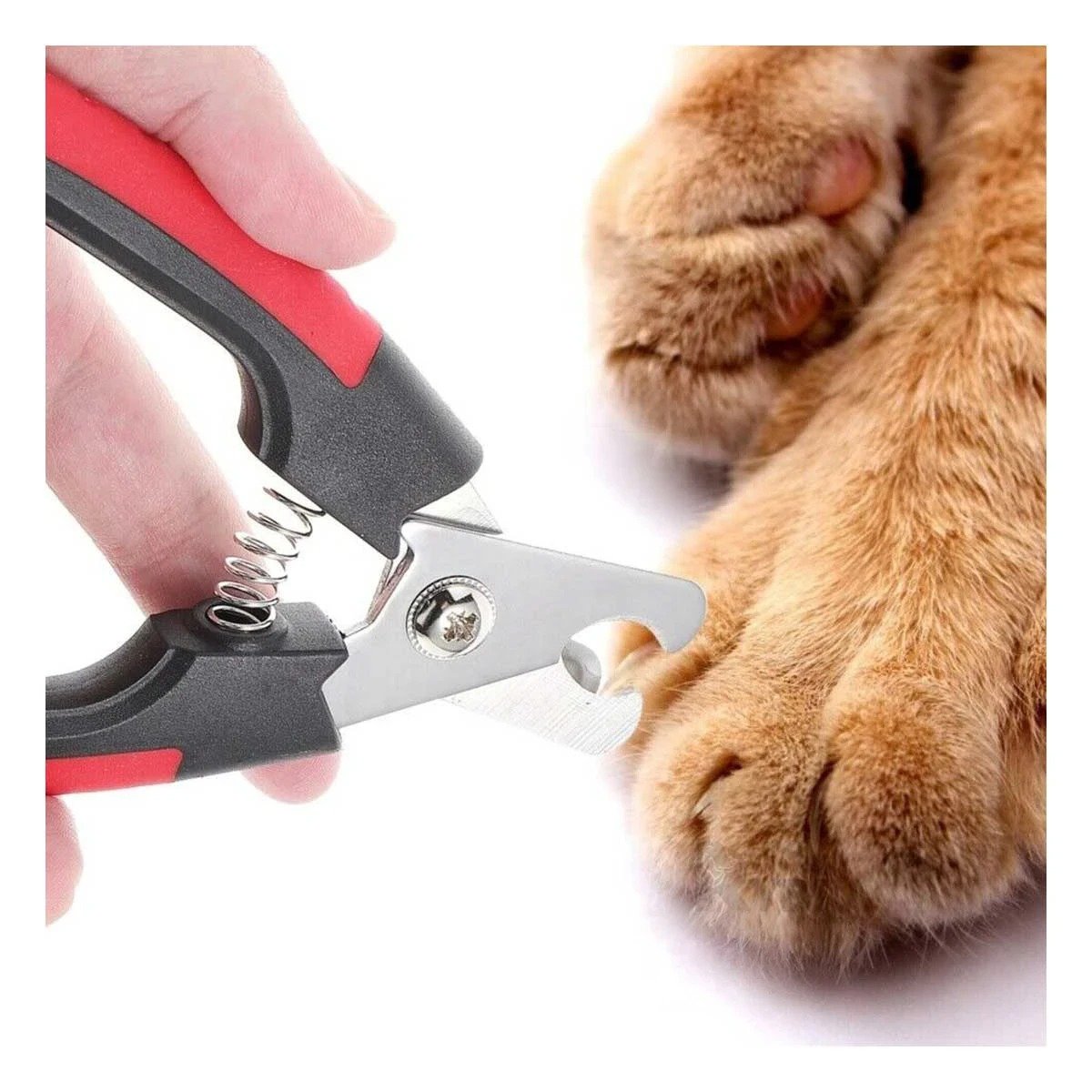 PACK2 ACCESORIO DE ASEO CON MANGO ERGONOMICO ROJO CHICO PARA USO - 3
