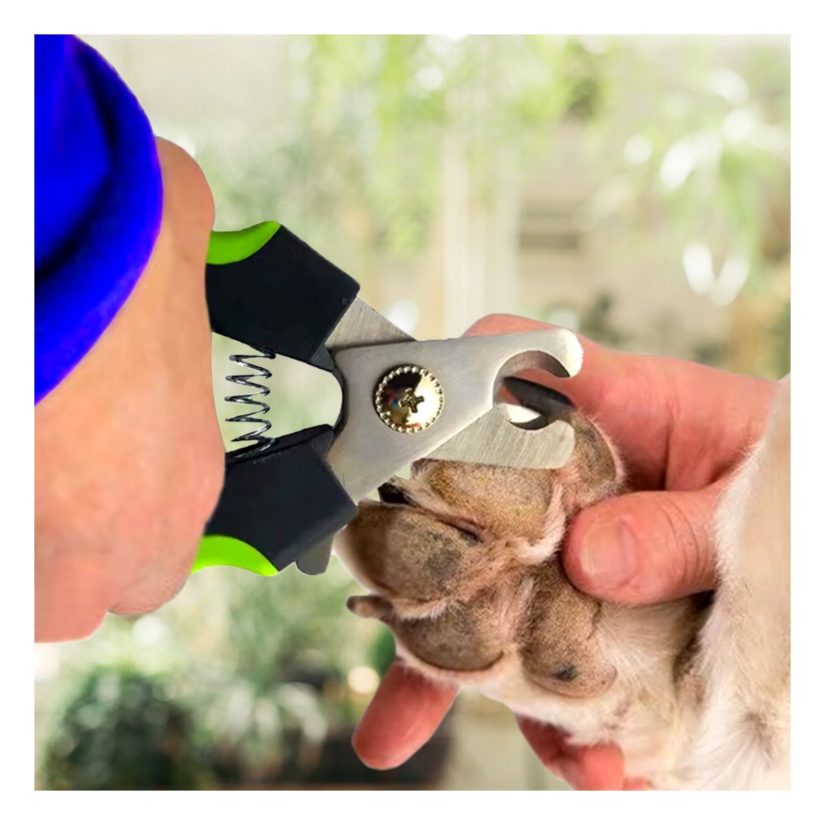 PACK4 HERRAMIENTA DE GROOMING CON ESTRUCTURA DE MUCHA FUERZA VERDE TALLA L - 2